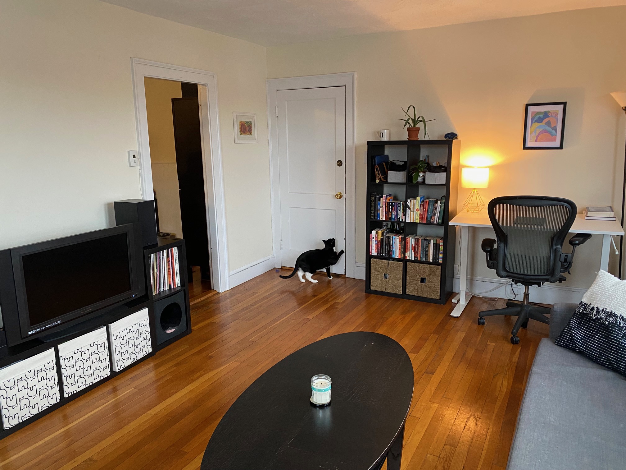 1 bed, 1 bath apartment for rent at 38 Day St Unit 45A, Davis Square — photo 2 of 7