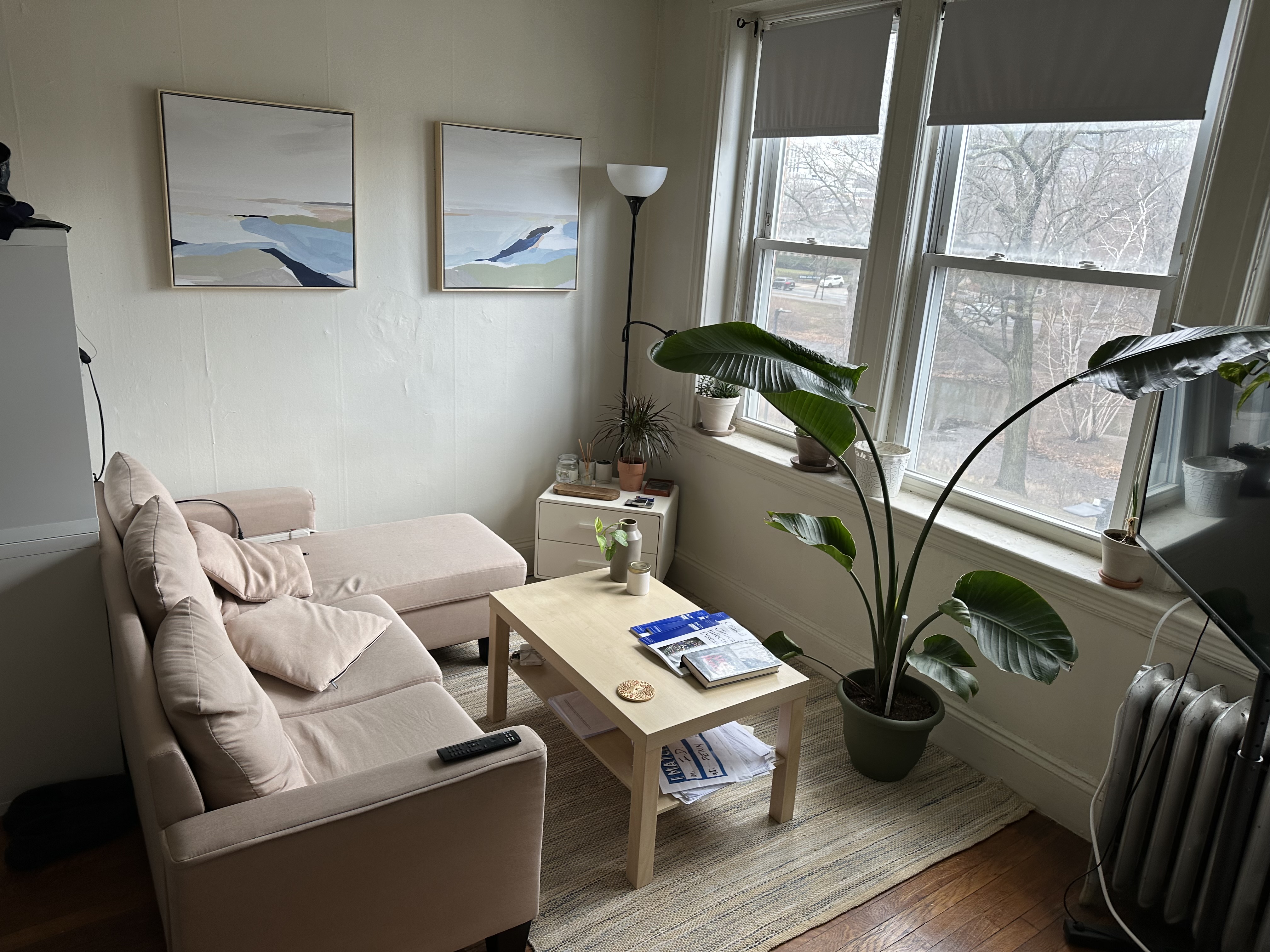 Studio bed, 1 bath apartment for rent at 235 Park Dr Unit 24, Fenway — photo 4 of 6