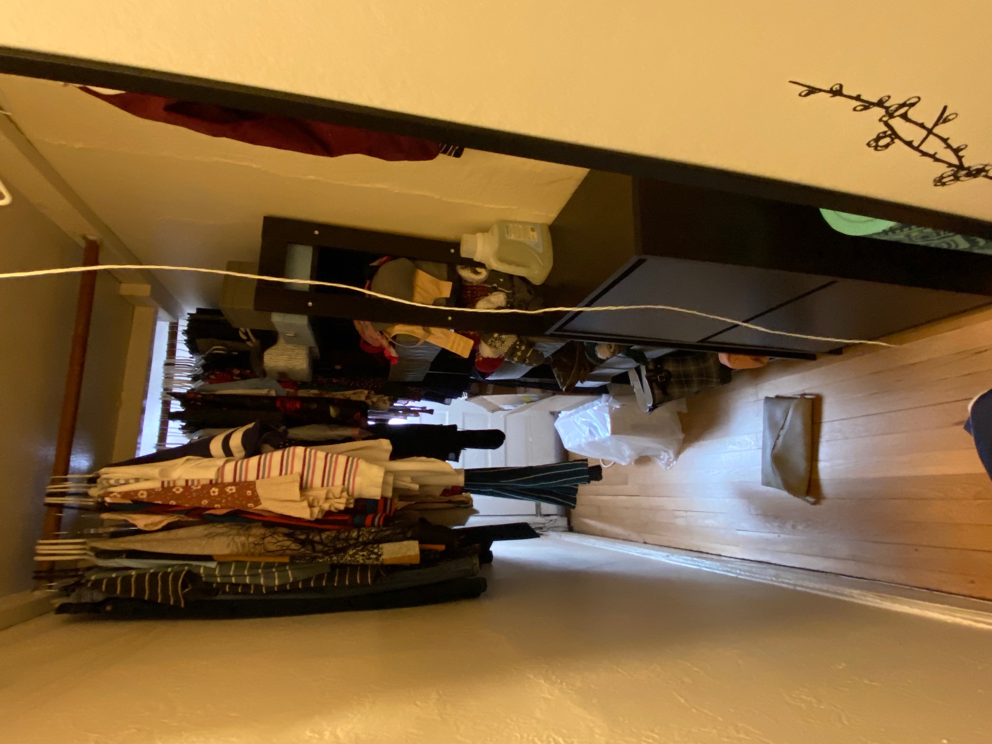 Studio bed, 1 bath apartment for rent at 26 Myrtle St Unit 7, Beacon Hill — photo 5 of 12