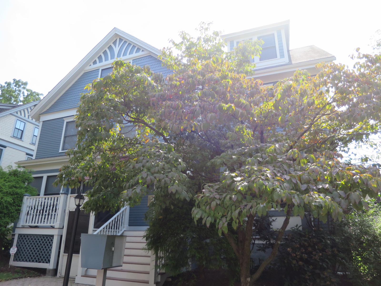 1 bed, 1 bath apartment for rent at 364 Harvard At Unit 5, Harvard Square — photo 1 of 2