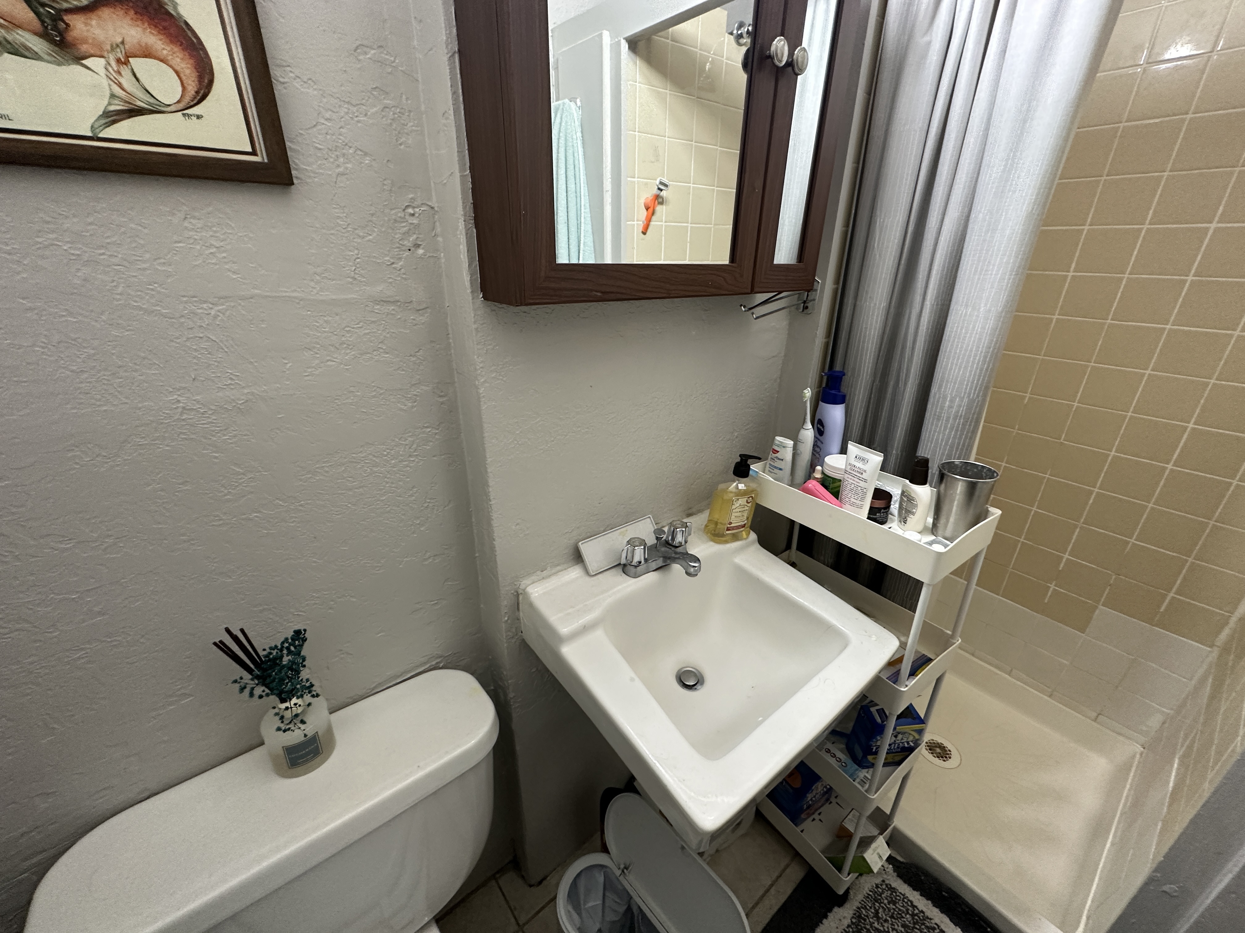 40 Anderson St, Beacon Hill