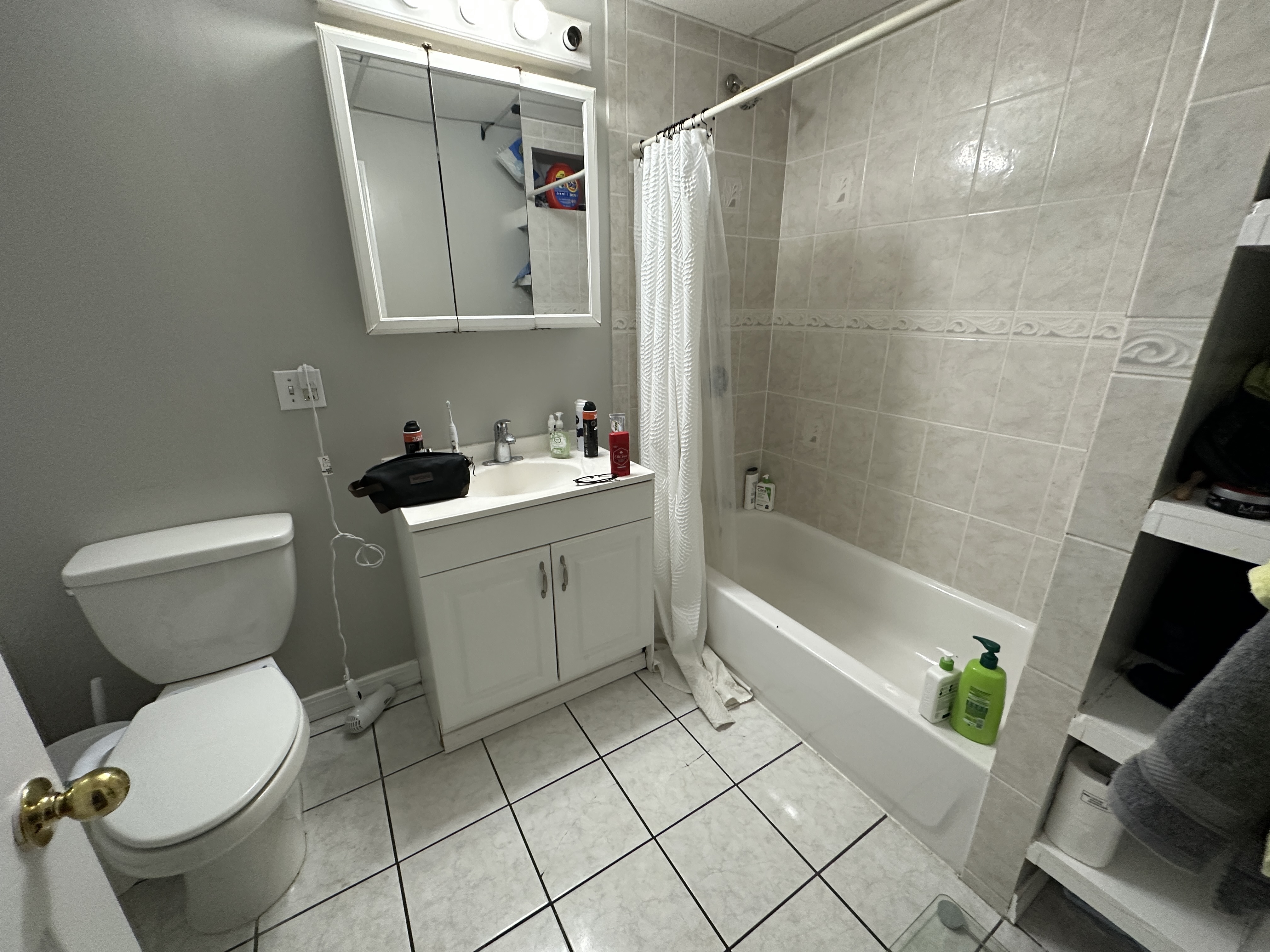 41 Anderson St, Beacon Hill