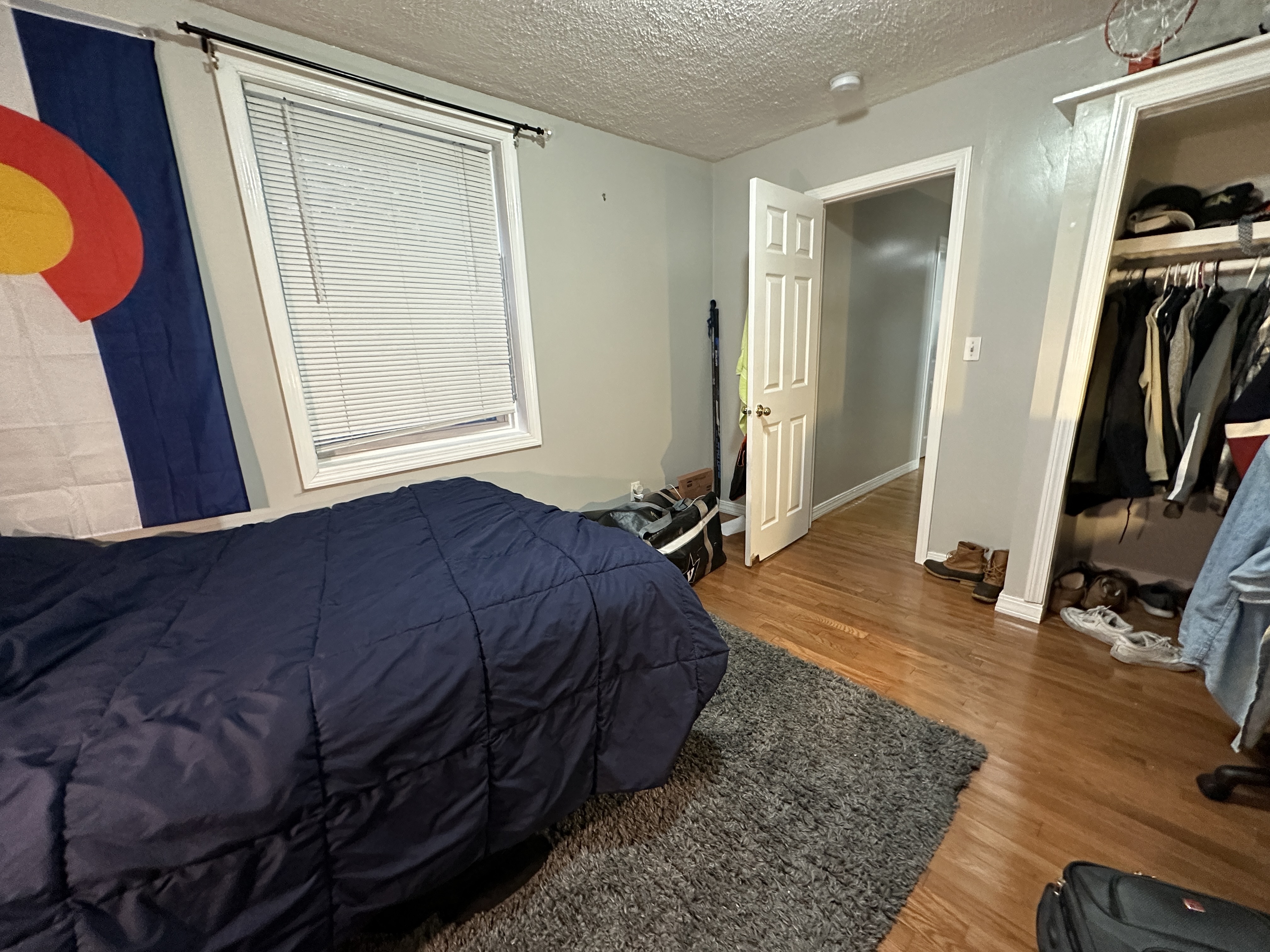 41 Anderson St, Beacon Hill