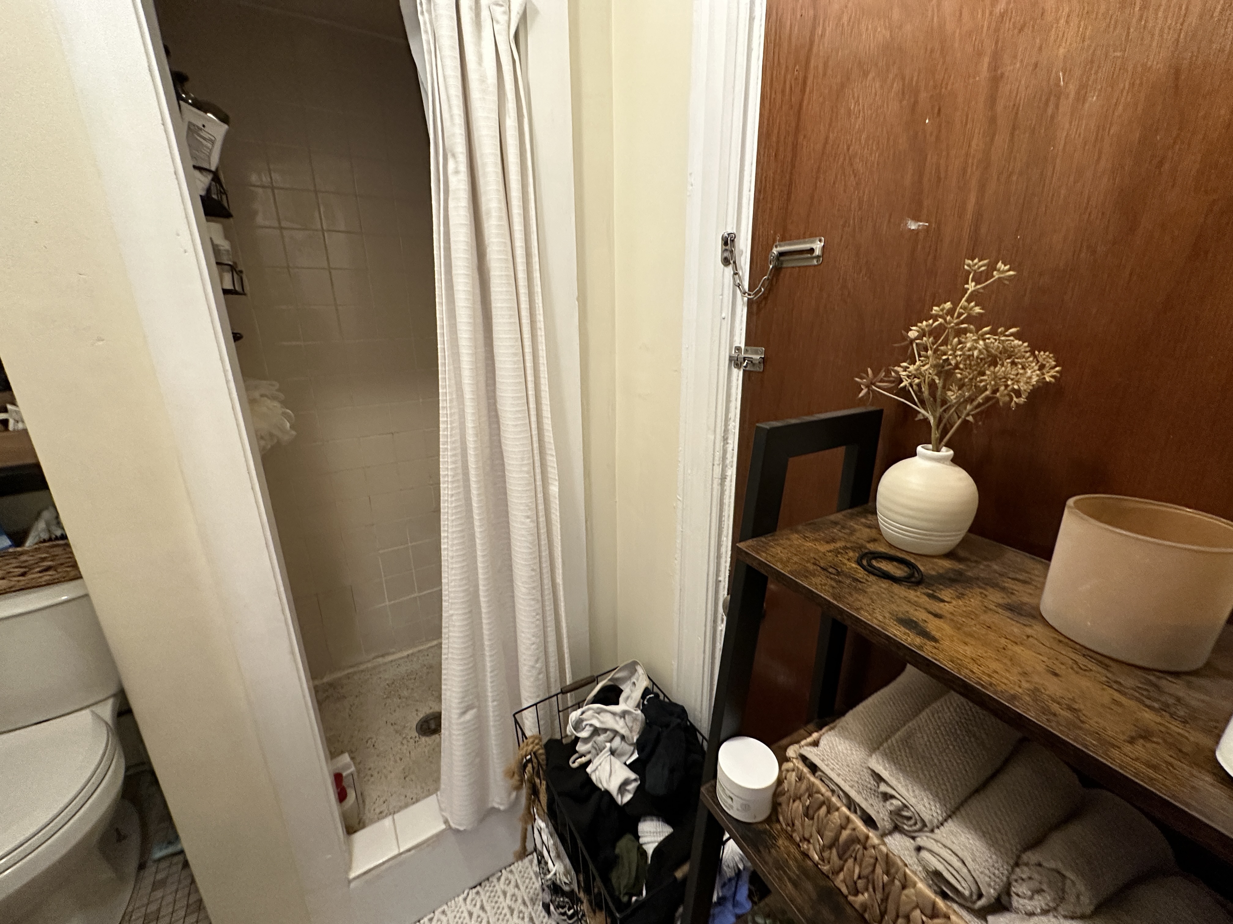 41 Anderson St, Beacon Hill