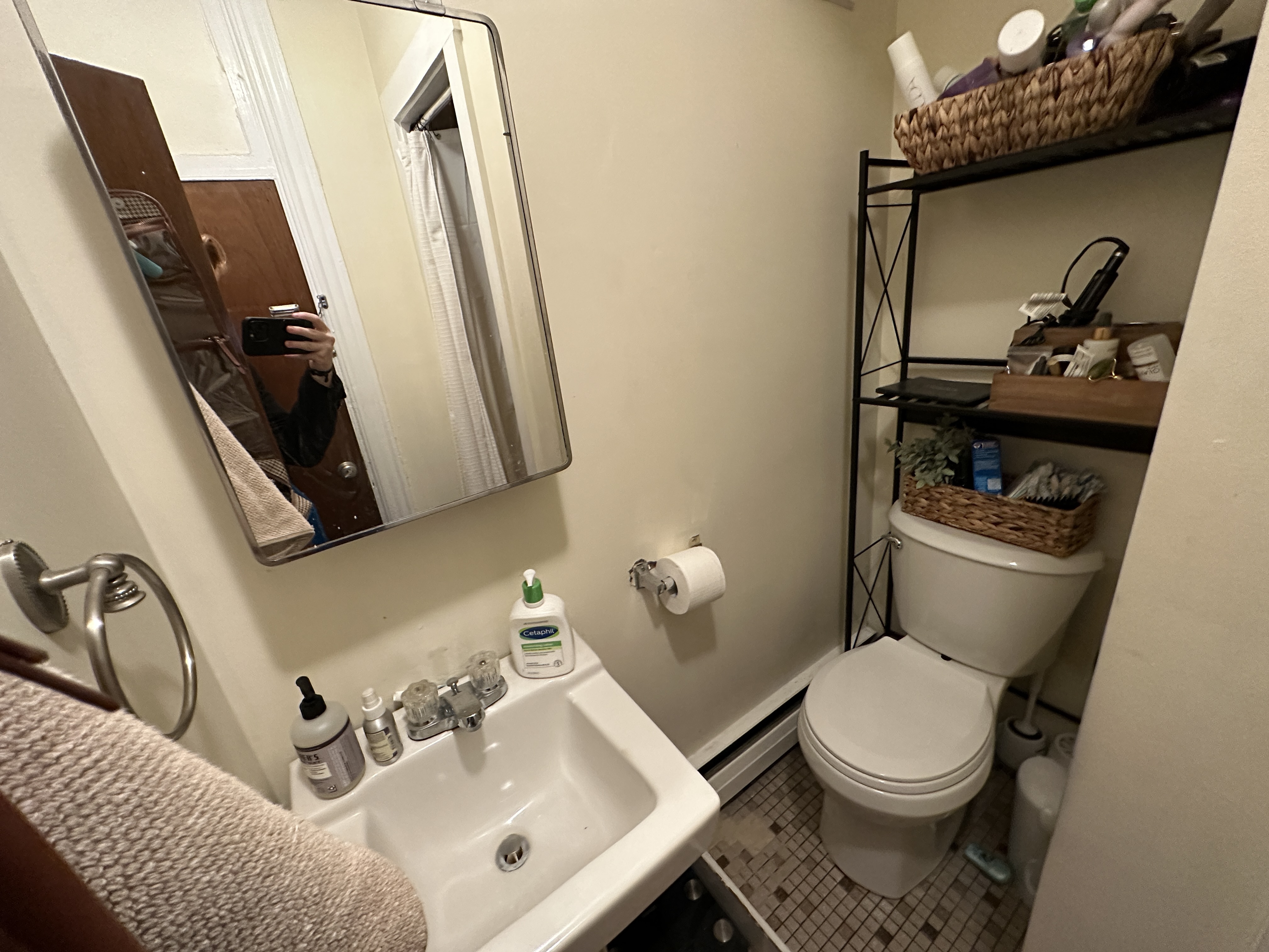 41 Anderson St, Beacon Hill