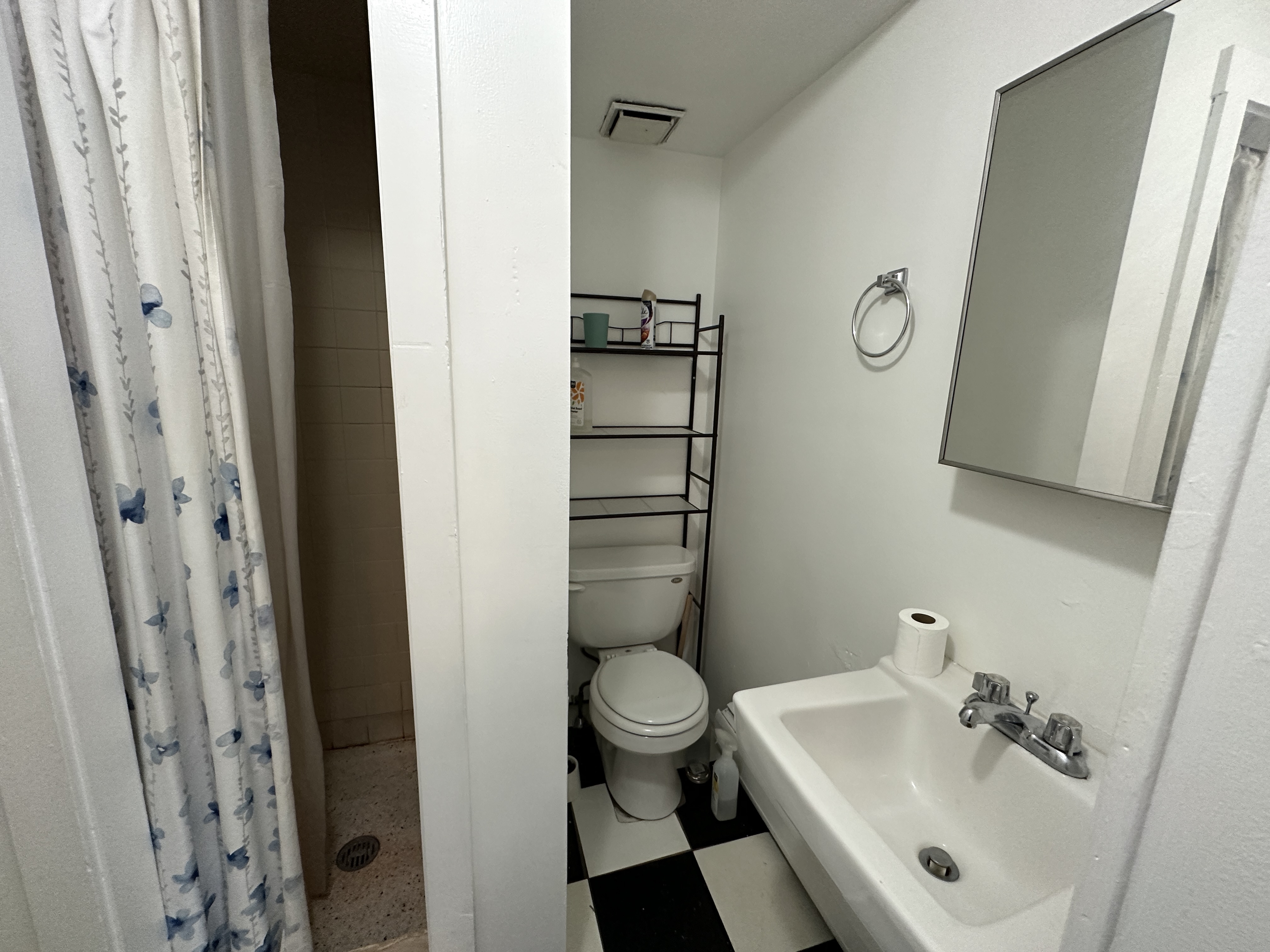 41 Anderson St, Beacon Hill