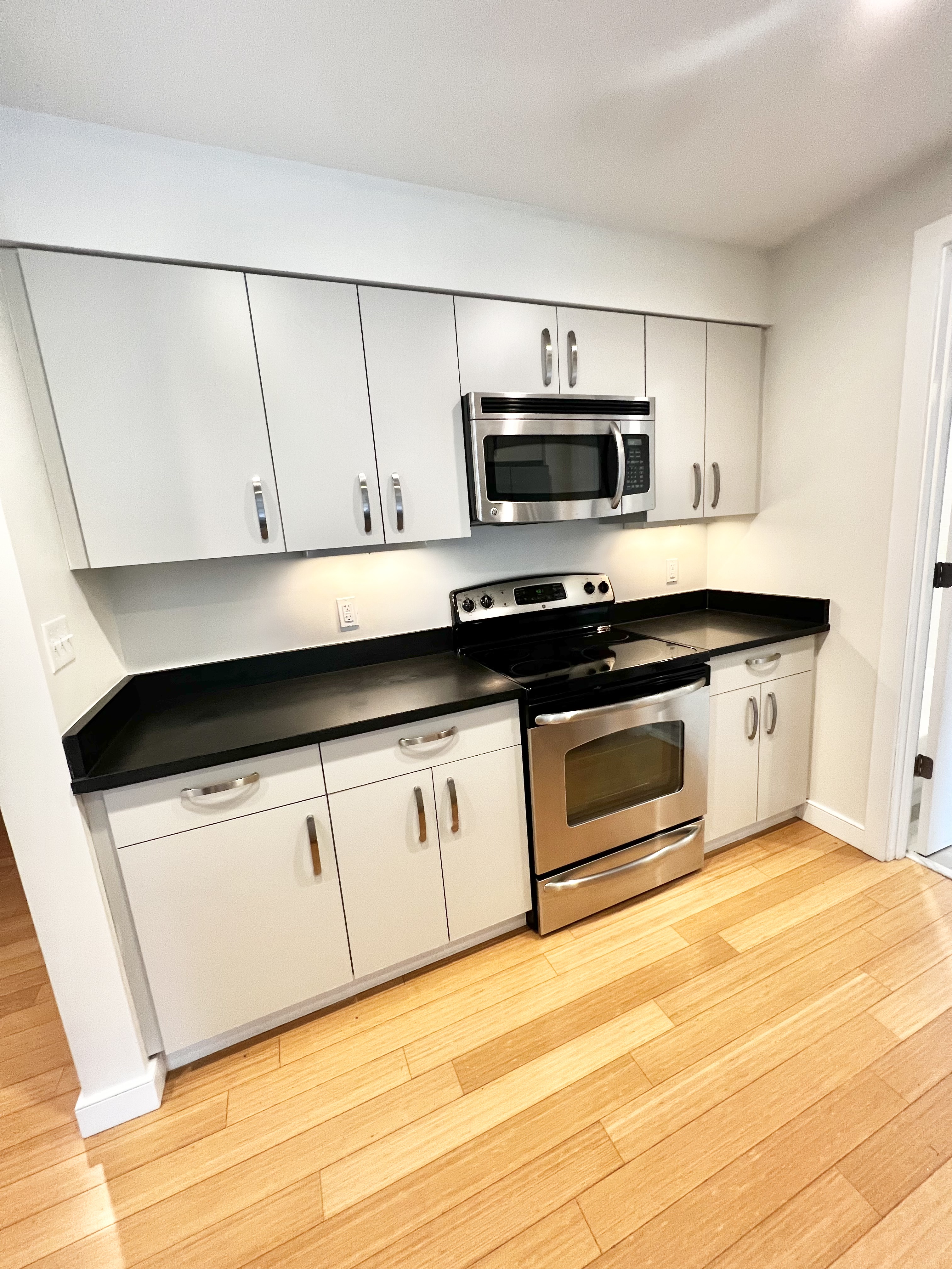 1 bed, 1 bath apartment for rent at 599 Albany St Unit 606, South Boston — photo 1 of 8