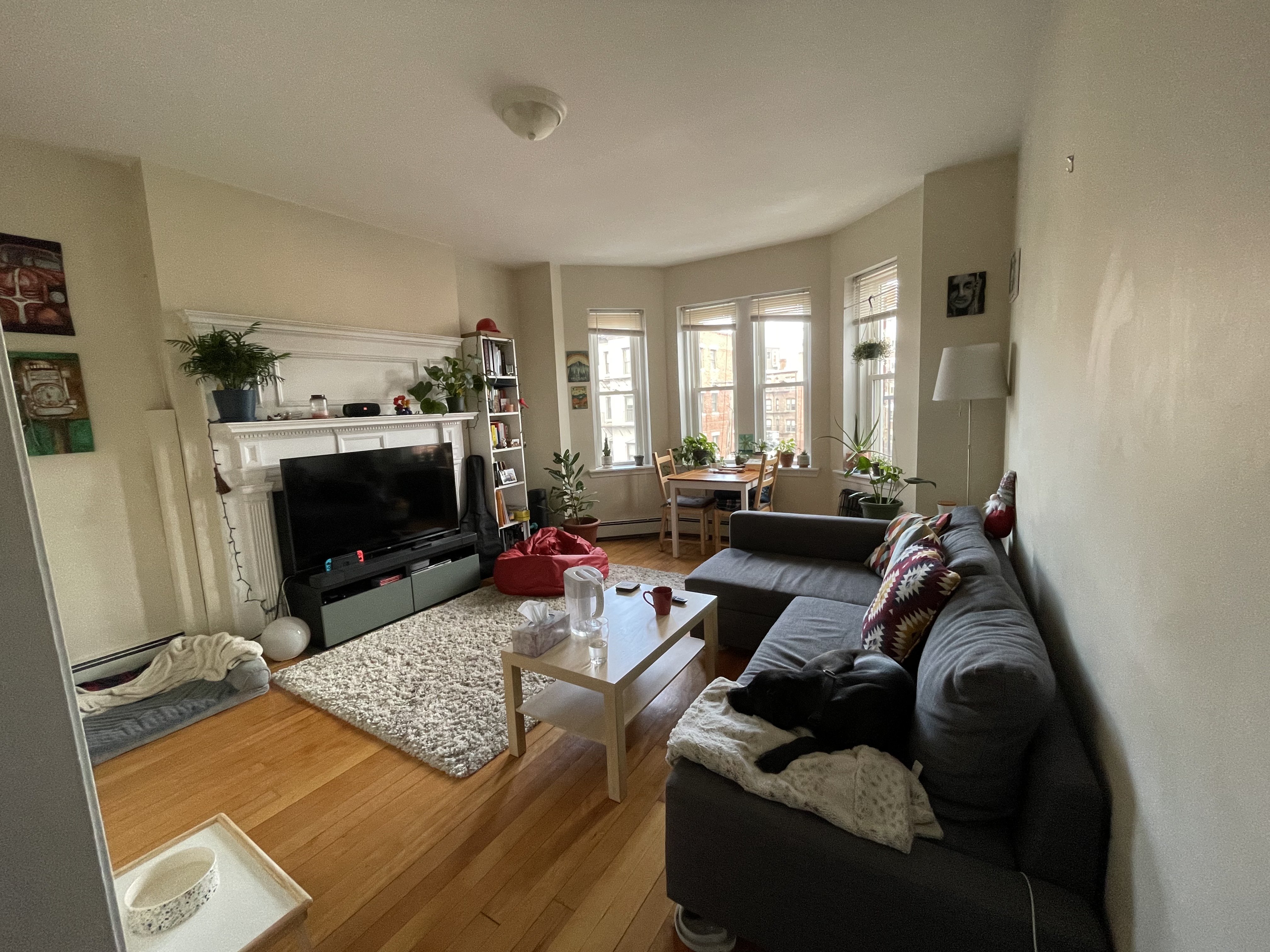 1 bed, 1 bath apartment for rent at 211 Harvard Ave Unit 16, Allston