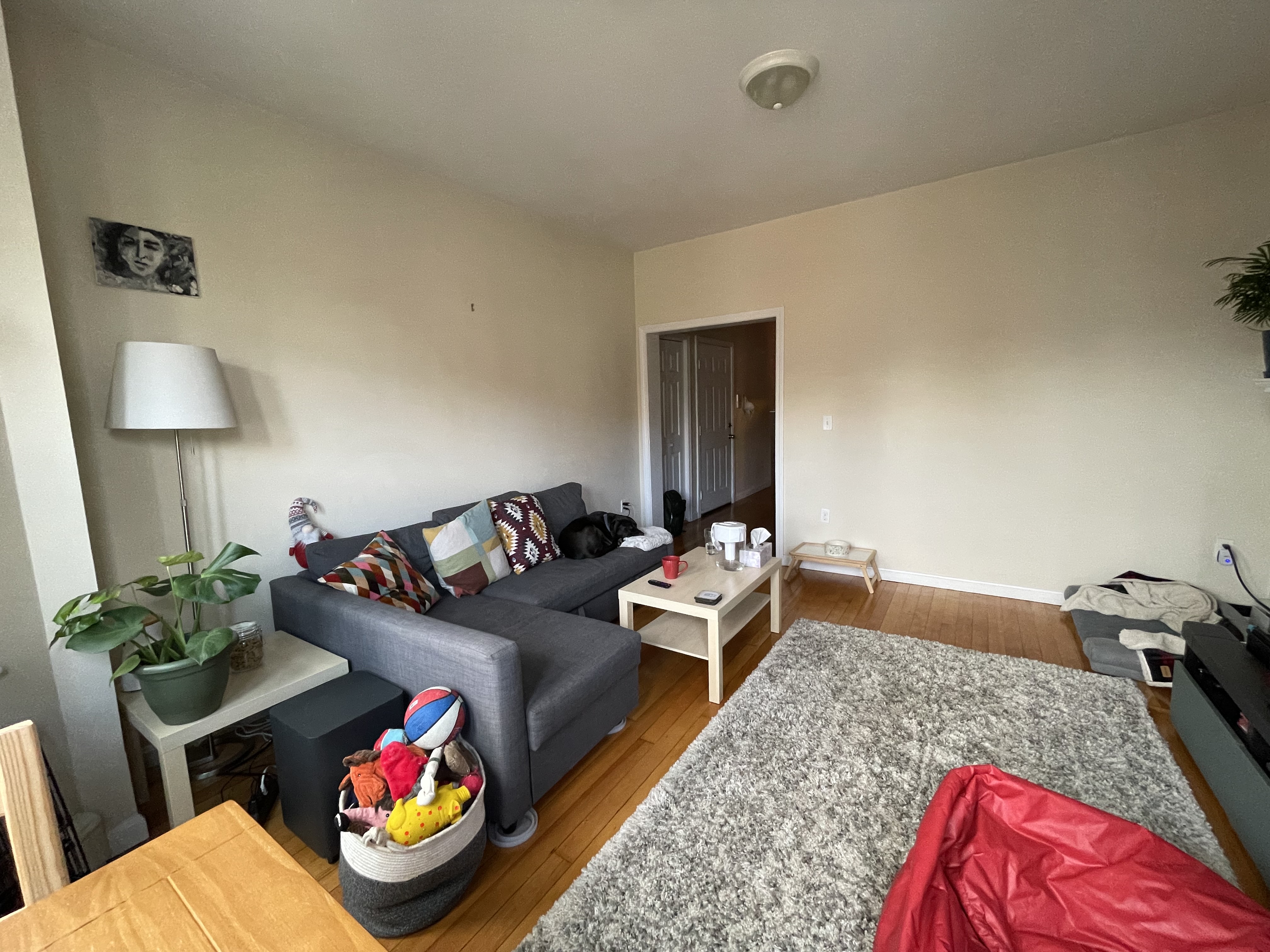 1 bed, 1 bath apartment for rent at 211 Harvard Ave Unit 16, Allston — photo 4 of 10