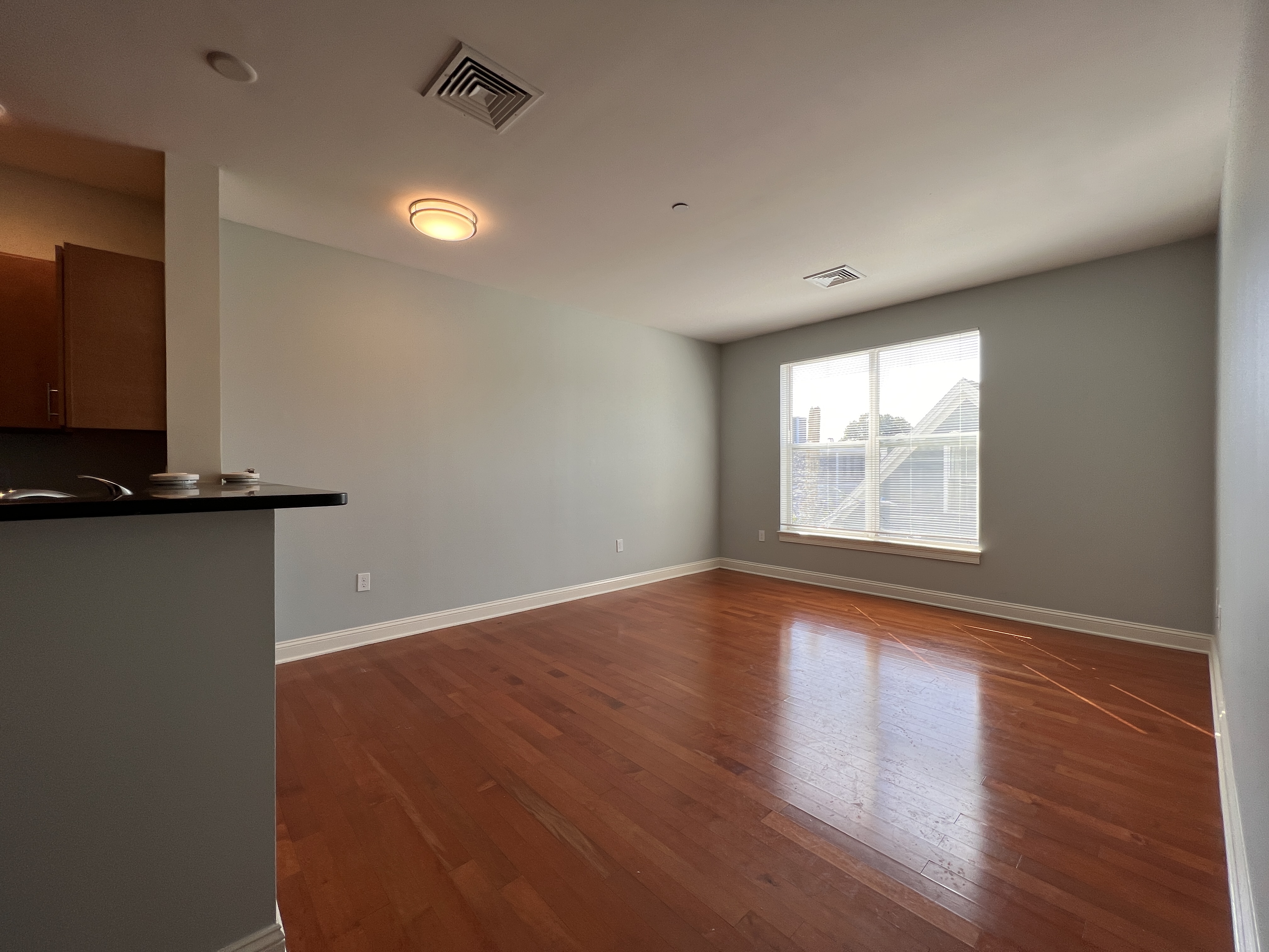 1 bed, 1 bath apartment for rent at 40 River St Unit 200, Dorchester — photo 6 of 7