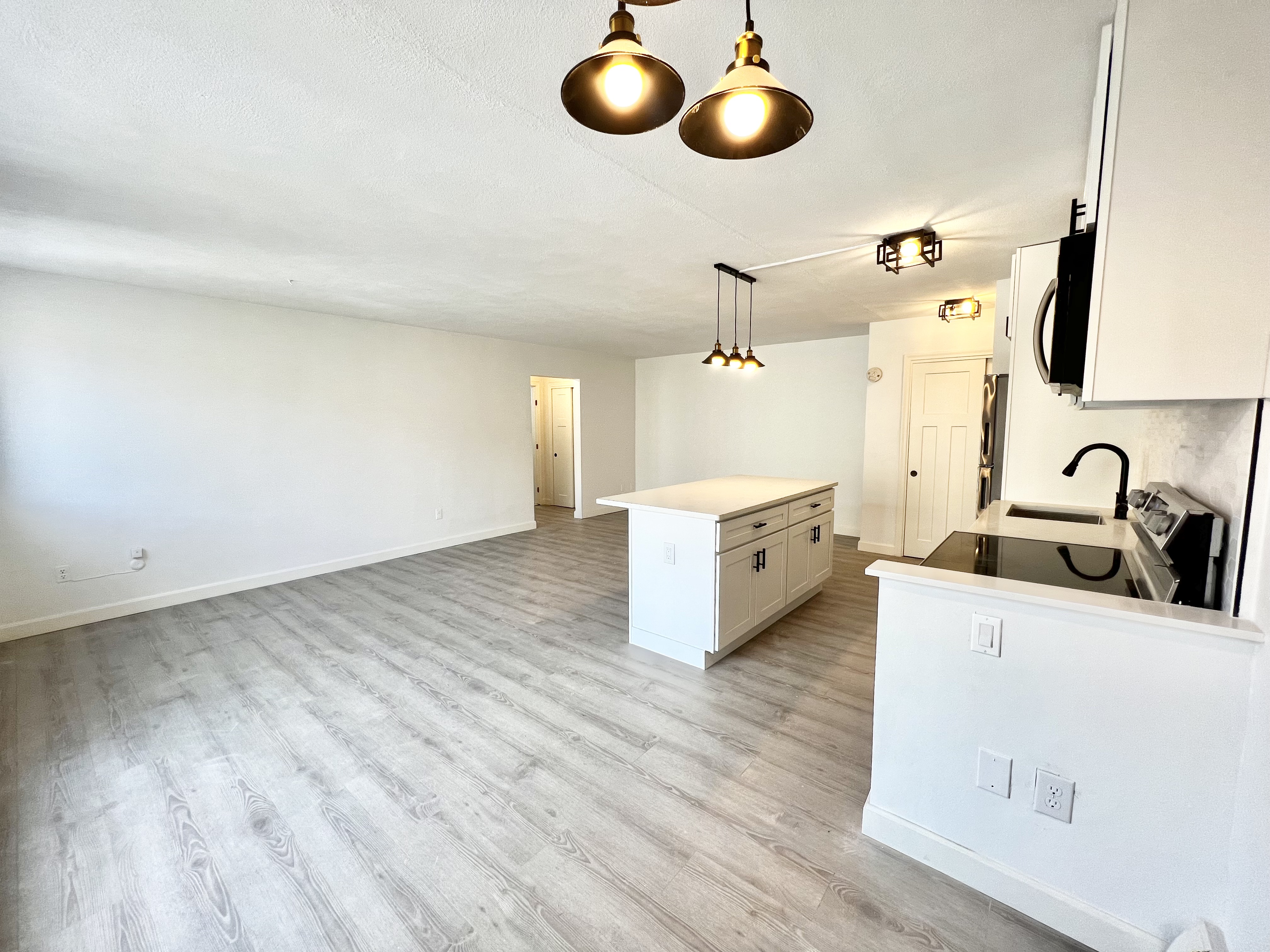 1 bed, 1 bath apartment for rent at 123 Sewall Ave Unit 2, Coolidge Corner — photo 5 of 12