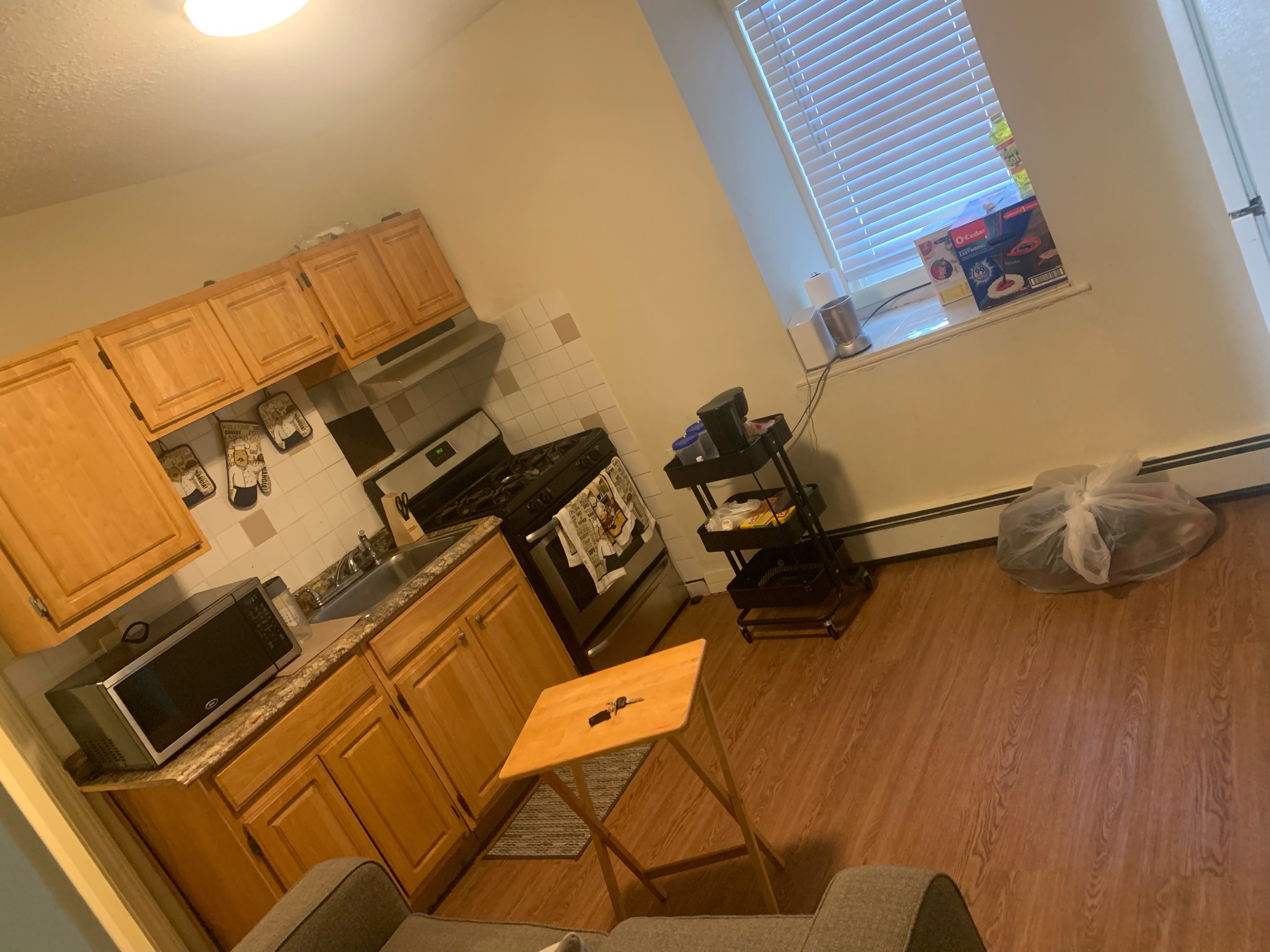 1 split bed, 1 bath apartment for rent at 222 Amory St Unit 3, Jamaica Plain — photo 1 of 6