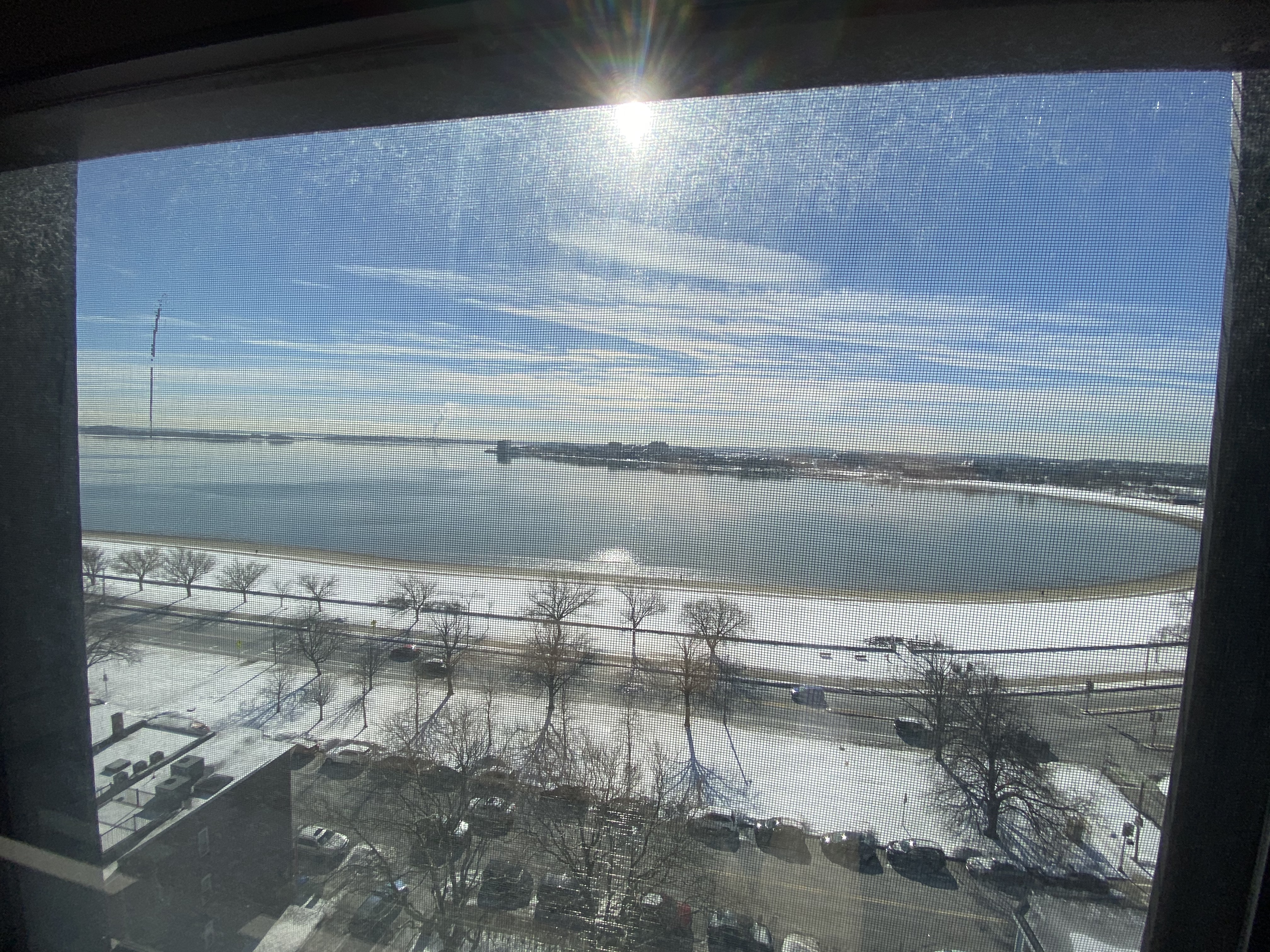 1 bed, 1 bath apartment for rent at 1410 Columbia Rd Unit 12E, South Boston — photo 4 of 8