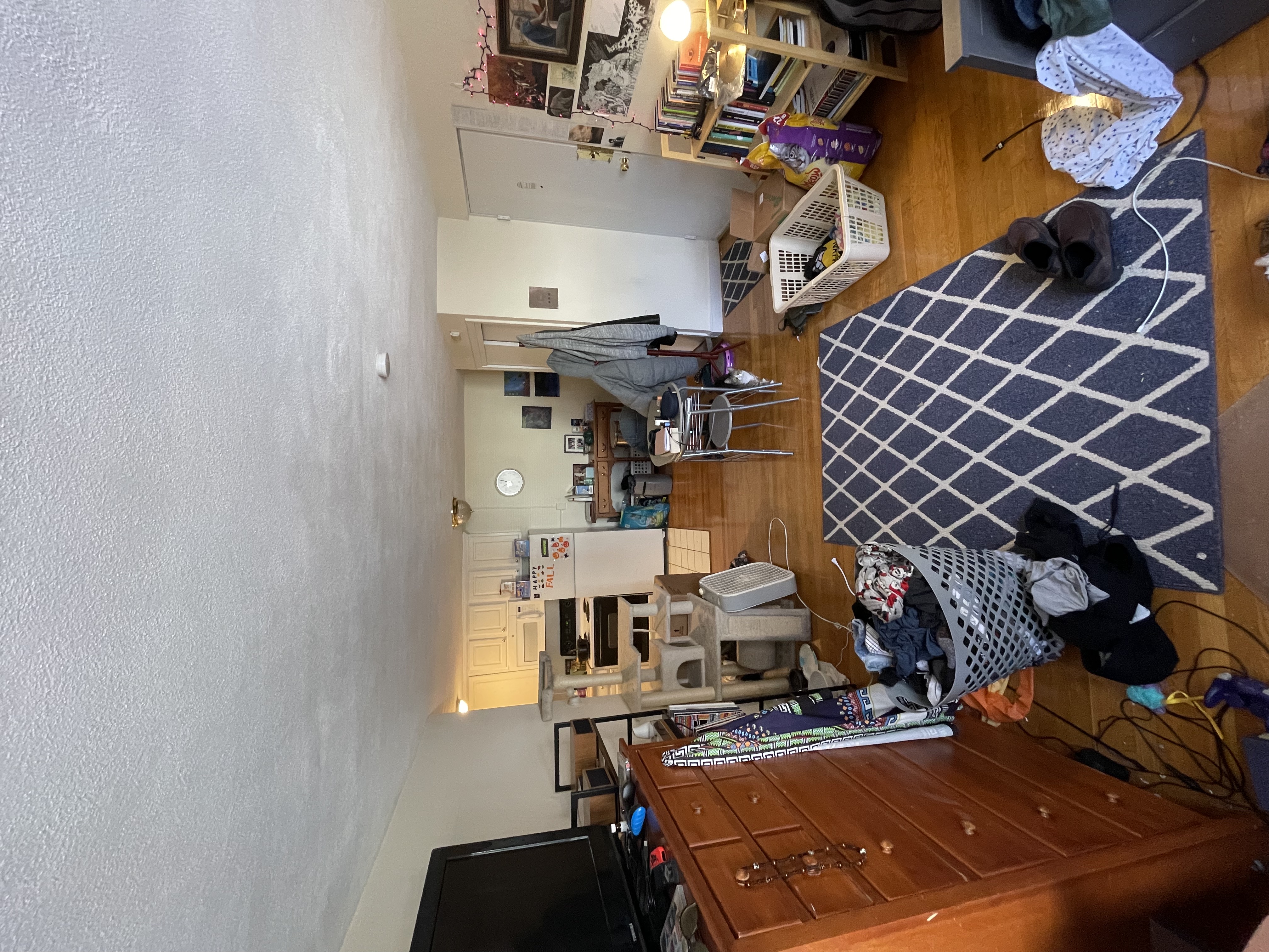 1 bed, 1 bath apartment for rent at 445 Washington St Unit 304, Brighton — photo 2 of 8