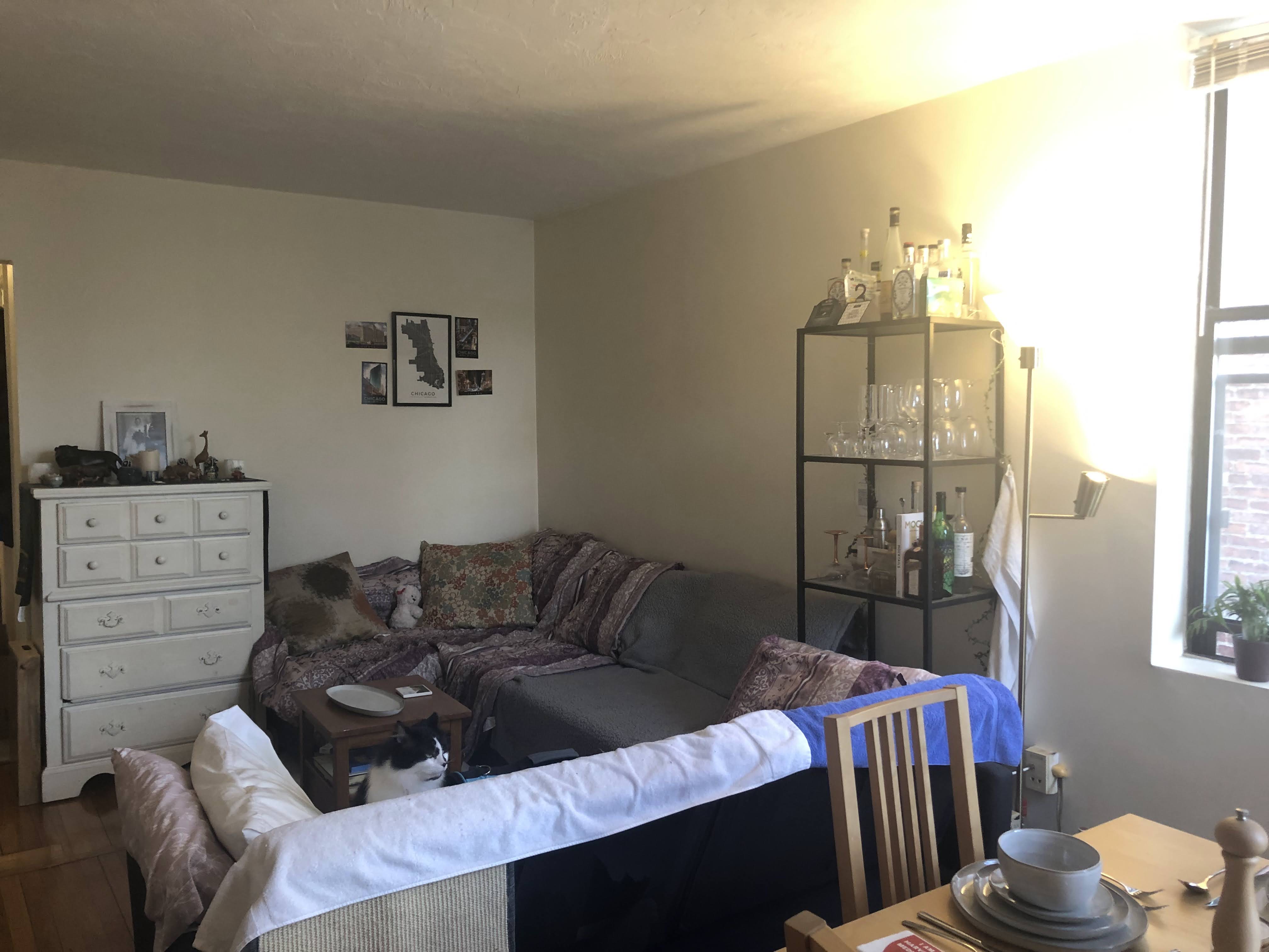2 bed, 1 bath apartment for rent at 57 Longwood Ave Unit 5, Coolidge Corner — photo 2 of 9