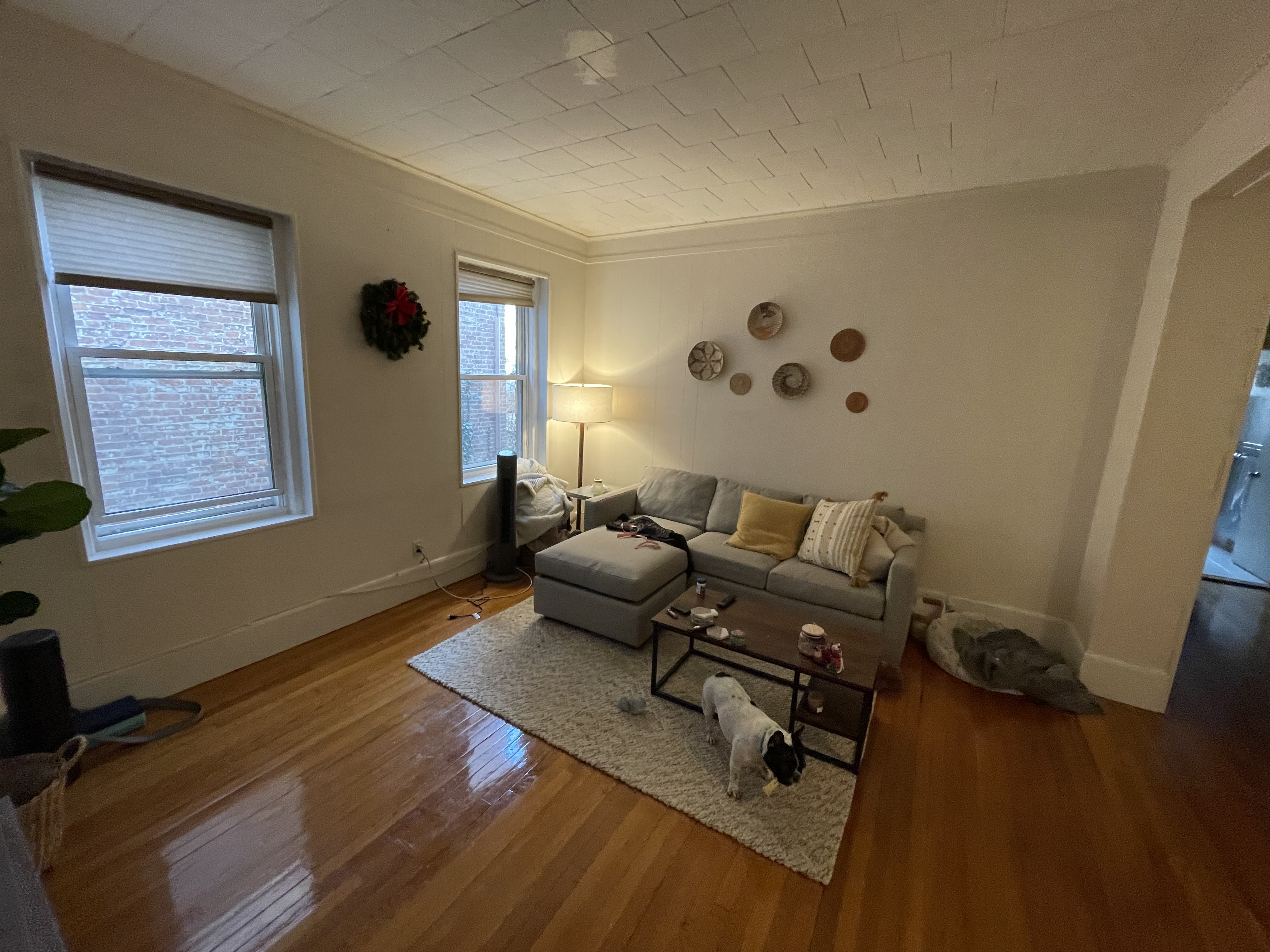 2 bed, 1 bath apartment for rent at 11 Englewood Ave Unit 6, Washington Square — photo 7 of 23