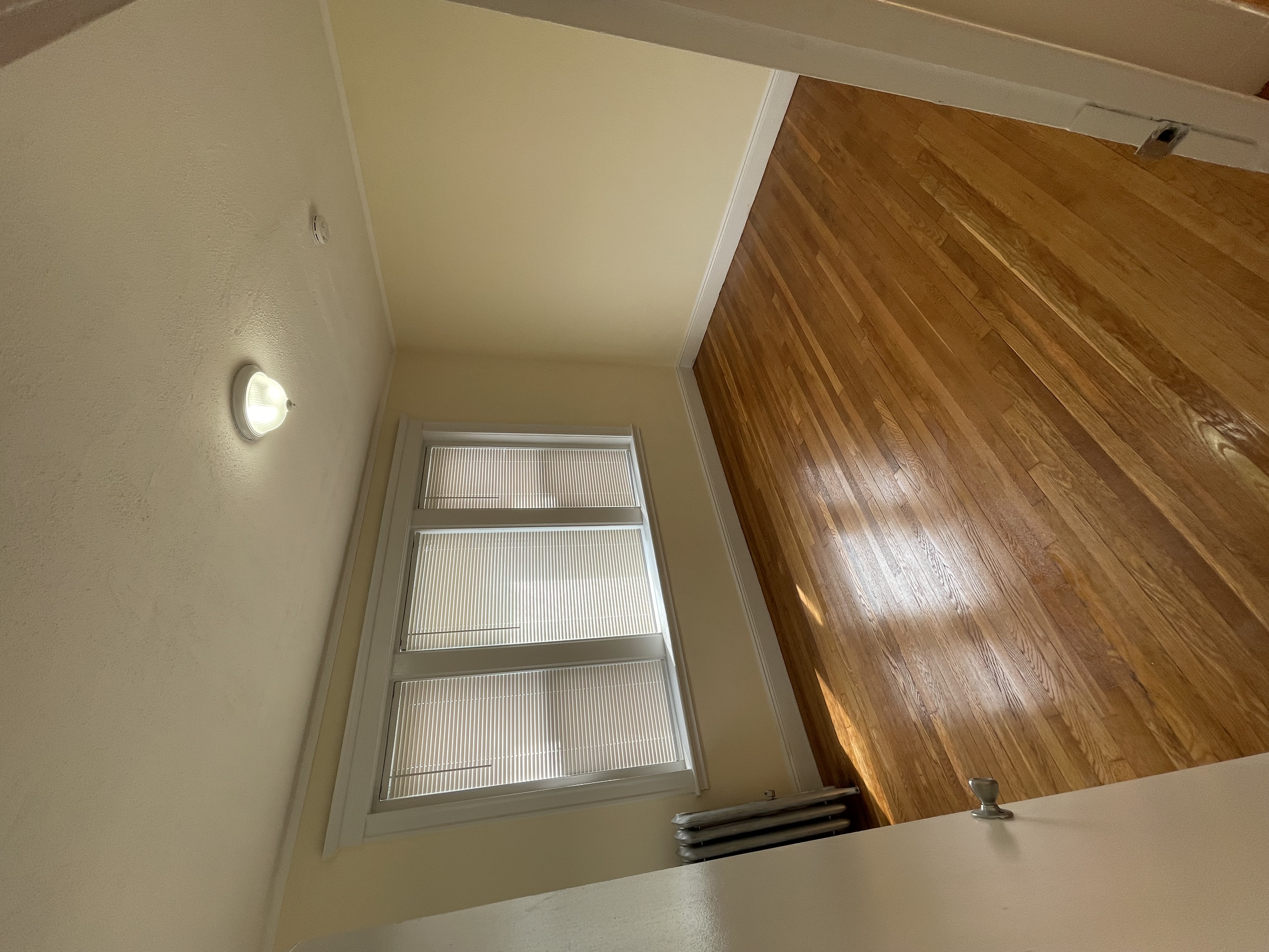 3 bed, 1 bath apartment for rent at 35 Orkney Rd Unit 9, Brighton — photo 4 of 7