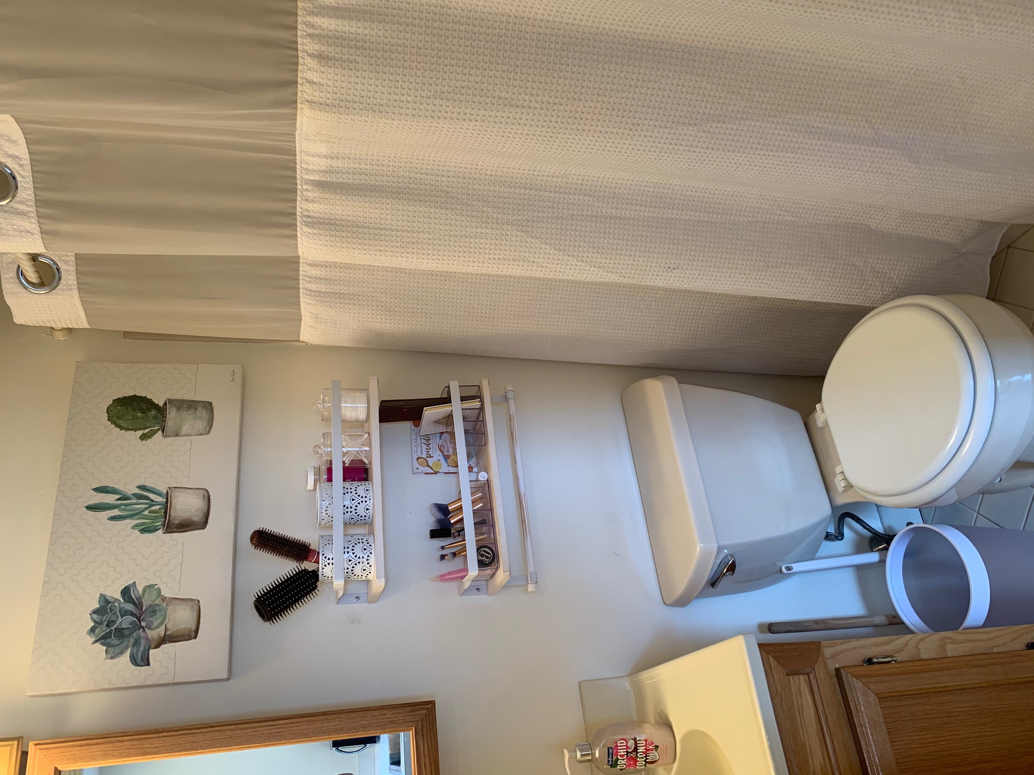 1 bed, 1 bath apartment for rent at 2 Baldwin Pl Unit 7, North End — photo 12 of 13