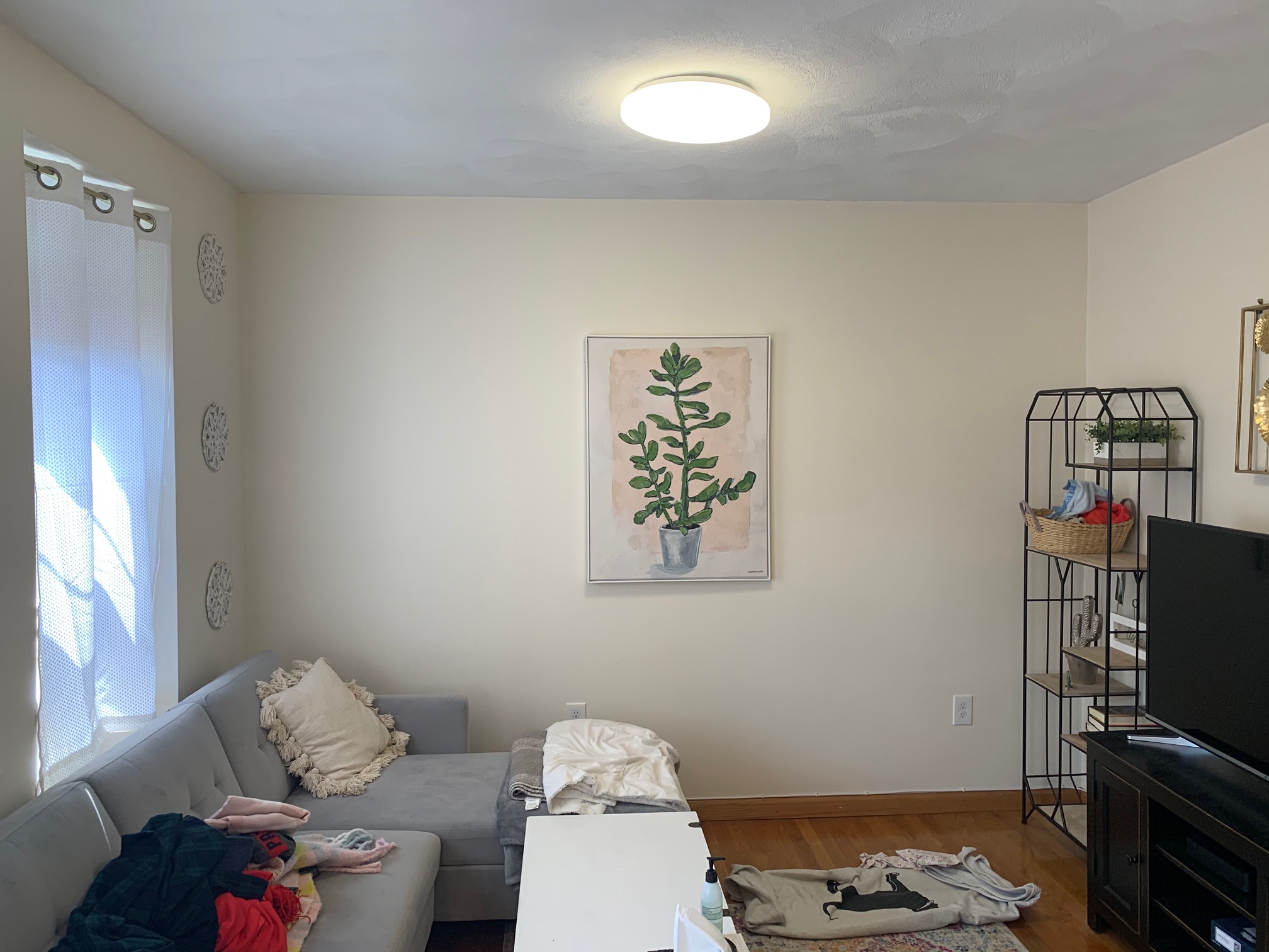 1 bed, 1 bath apartment for rent at 2 Baldwin Pl Unit 7, North End — photo 2 of 13