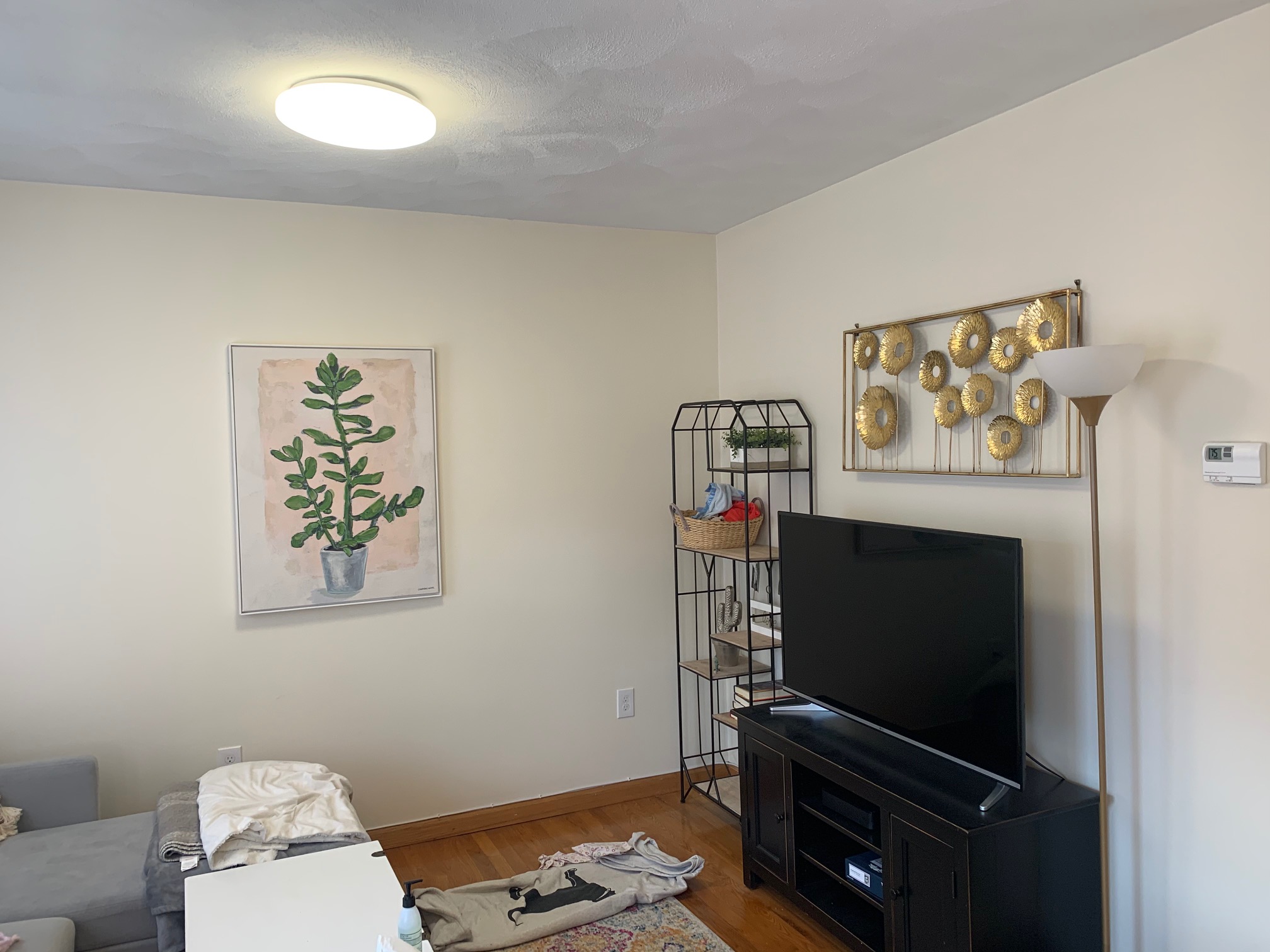 1 bed, 1 bath apartment for rent at 2 Baldwin Pl Unit 7, North End — photo 3 of 13