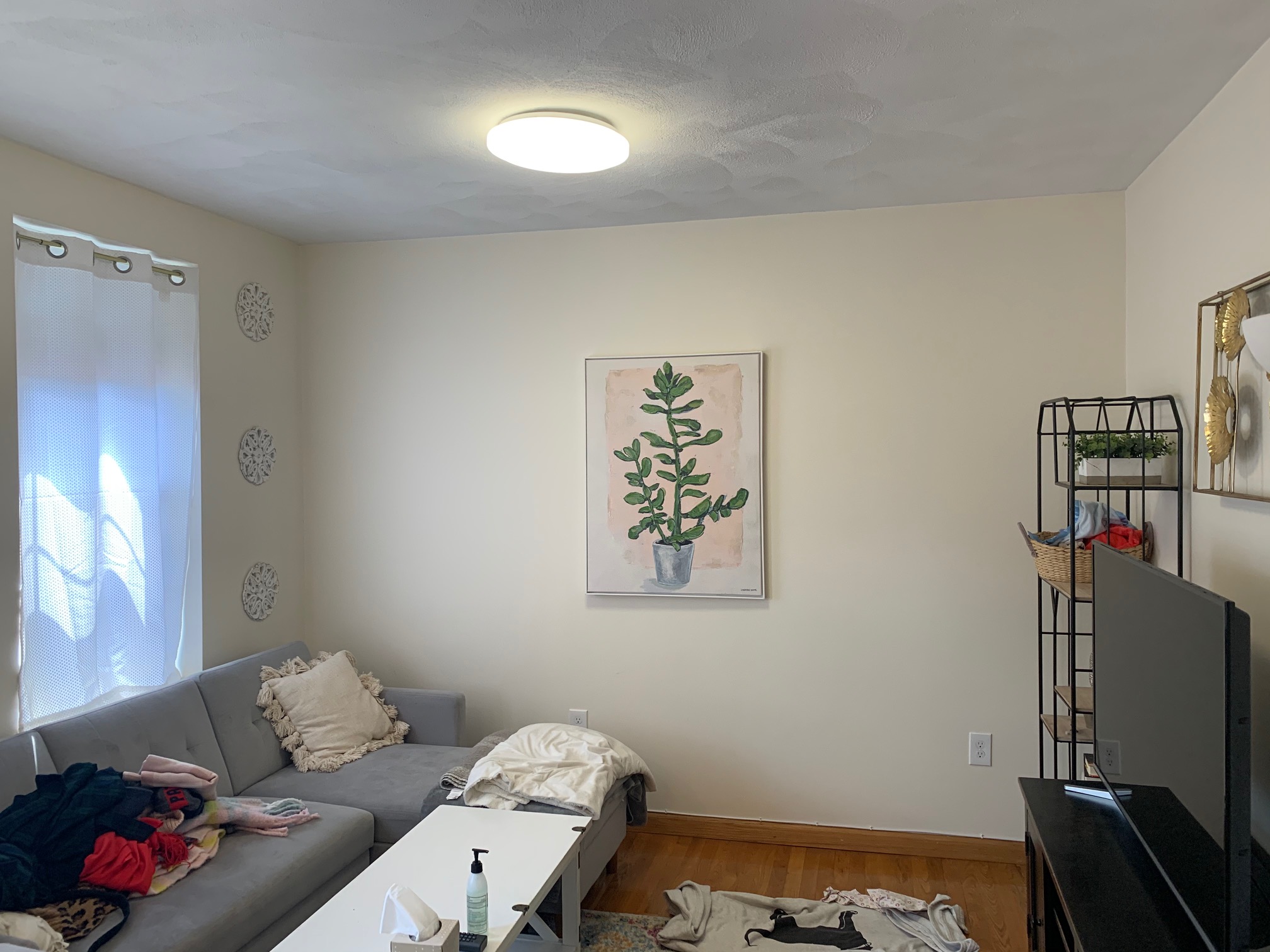 1 bed, 1 bath apartment for rent at 2 Baldwin Pl Unit 7, North End — photo 4 of 13