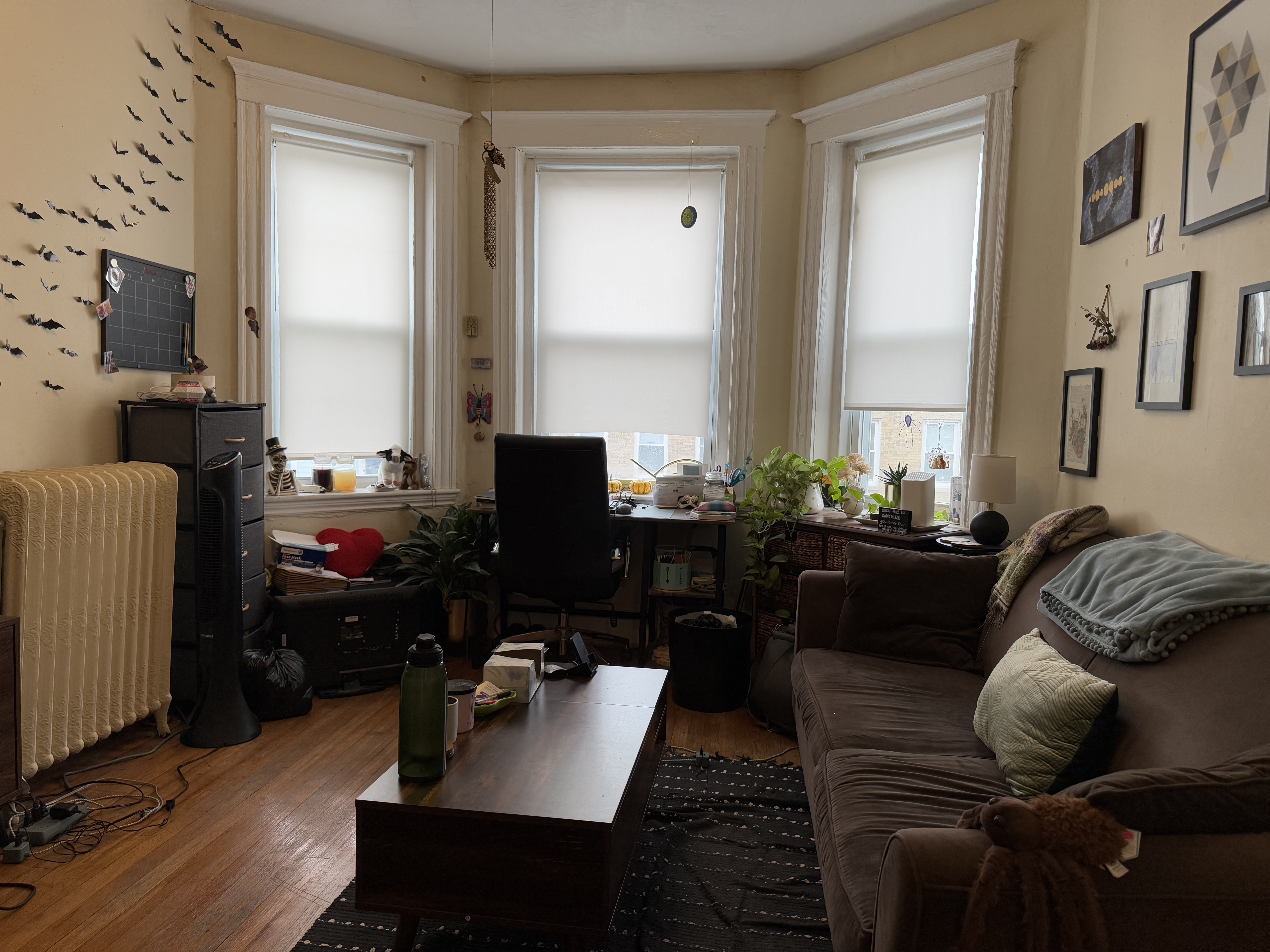 159 Kelton St, Brighton