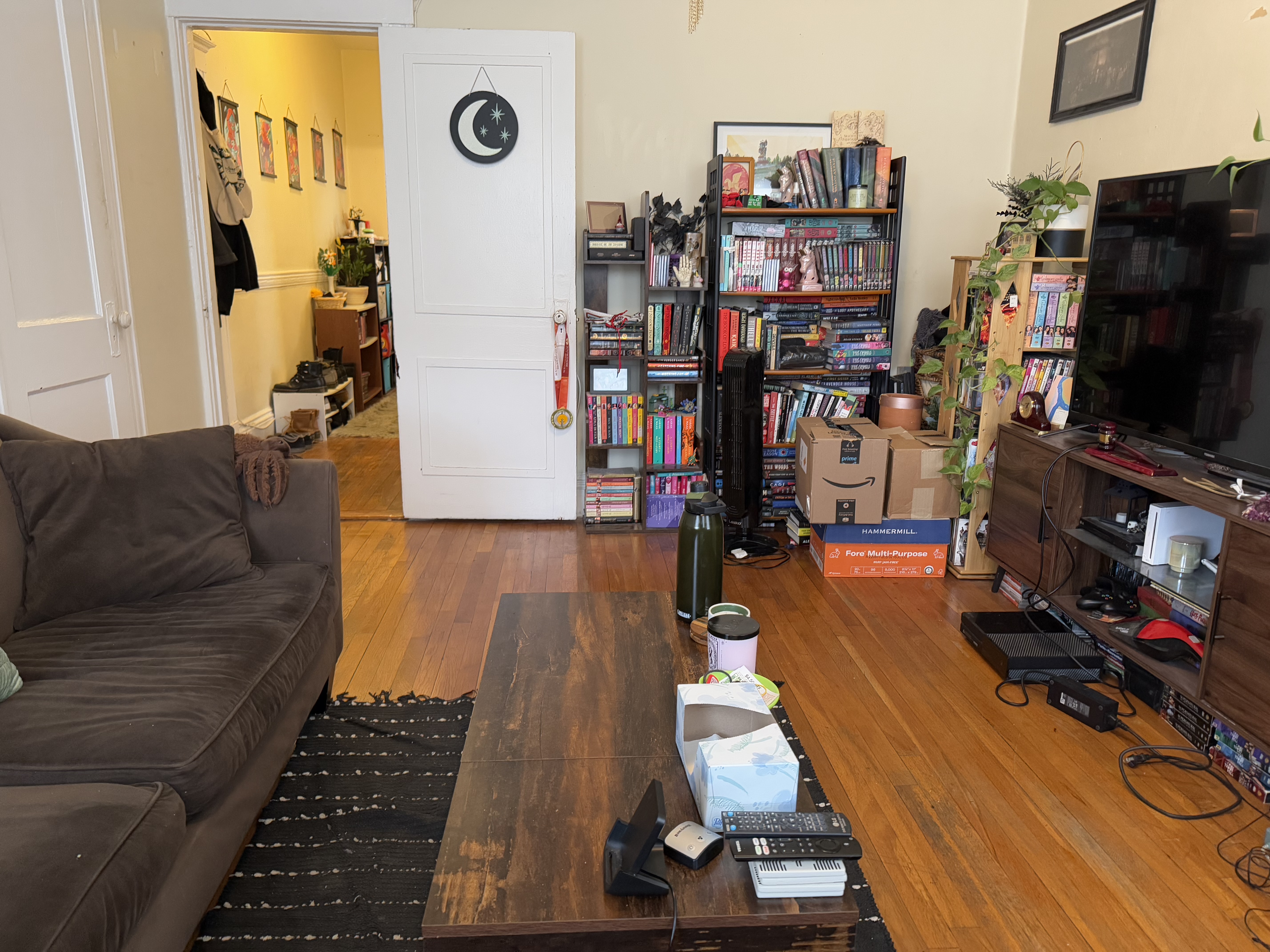 159 Kelton St, Brighton