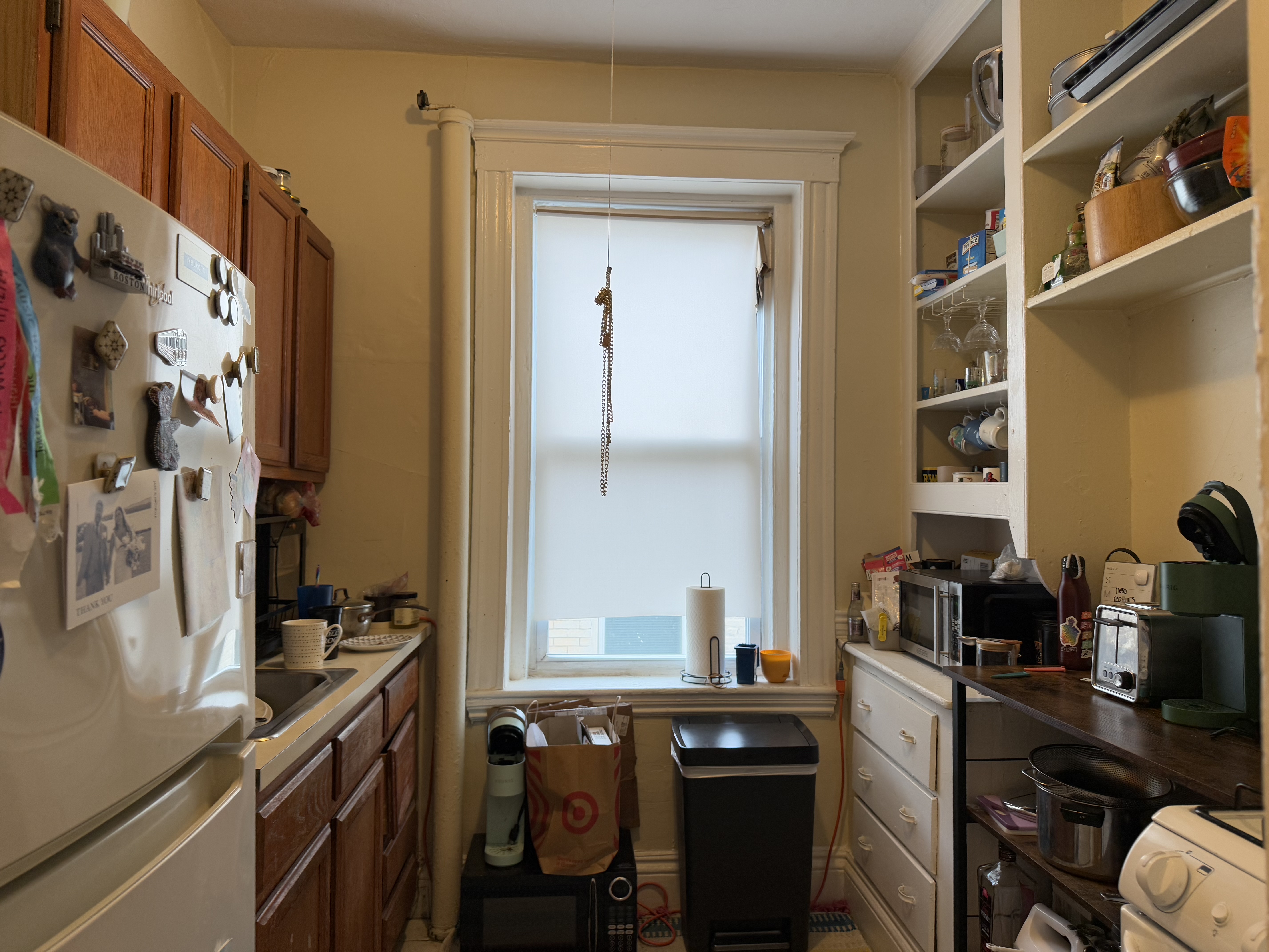 159 Kelton St, Brighton