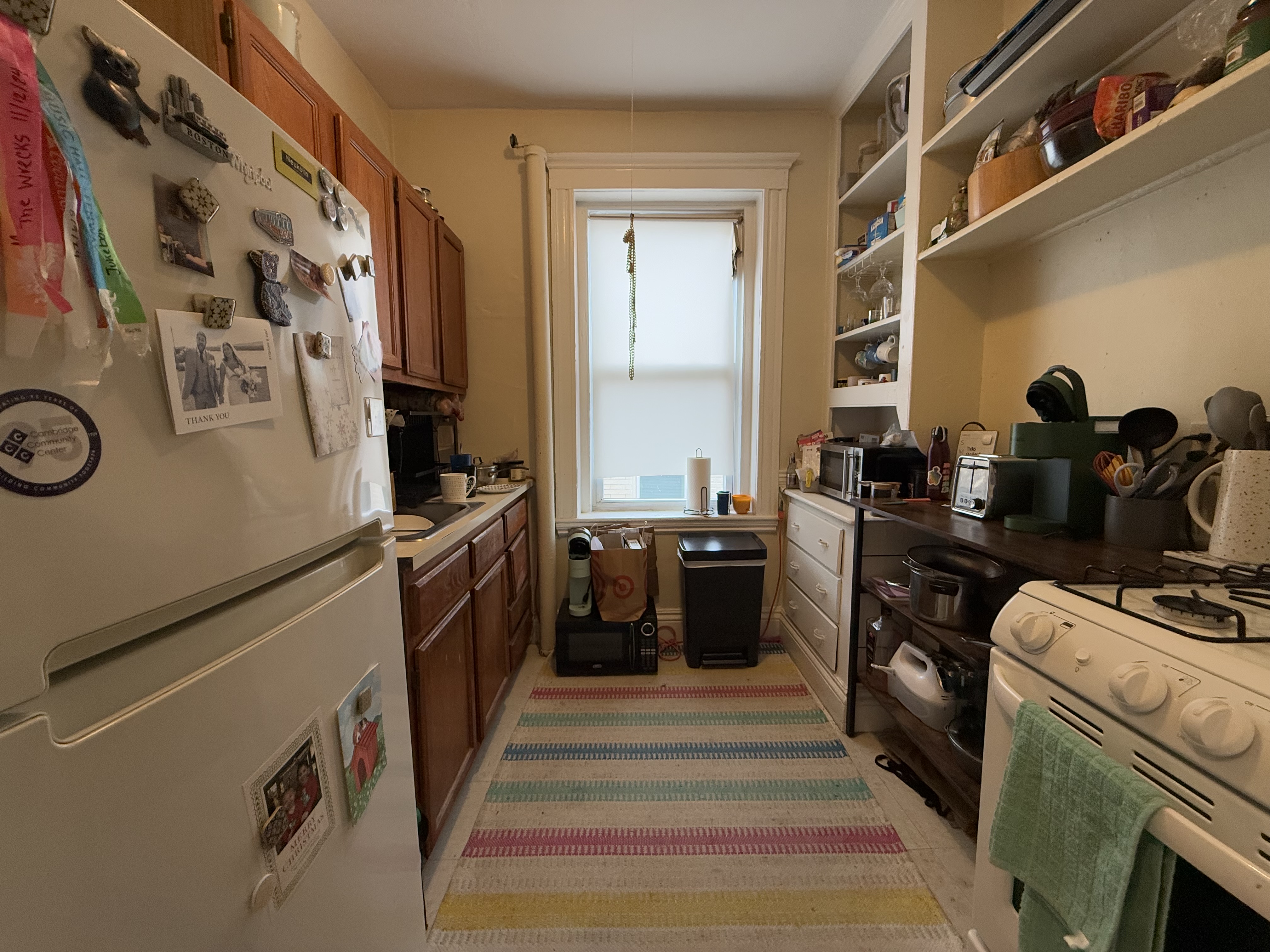 159 Kelton St, Brighton