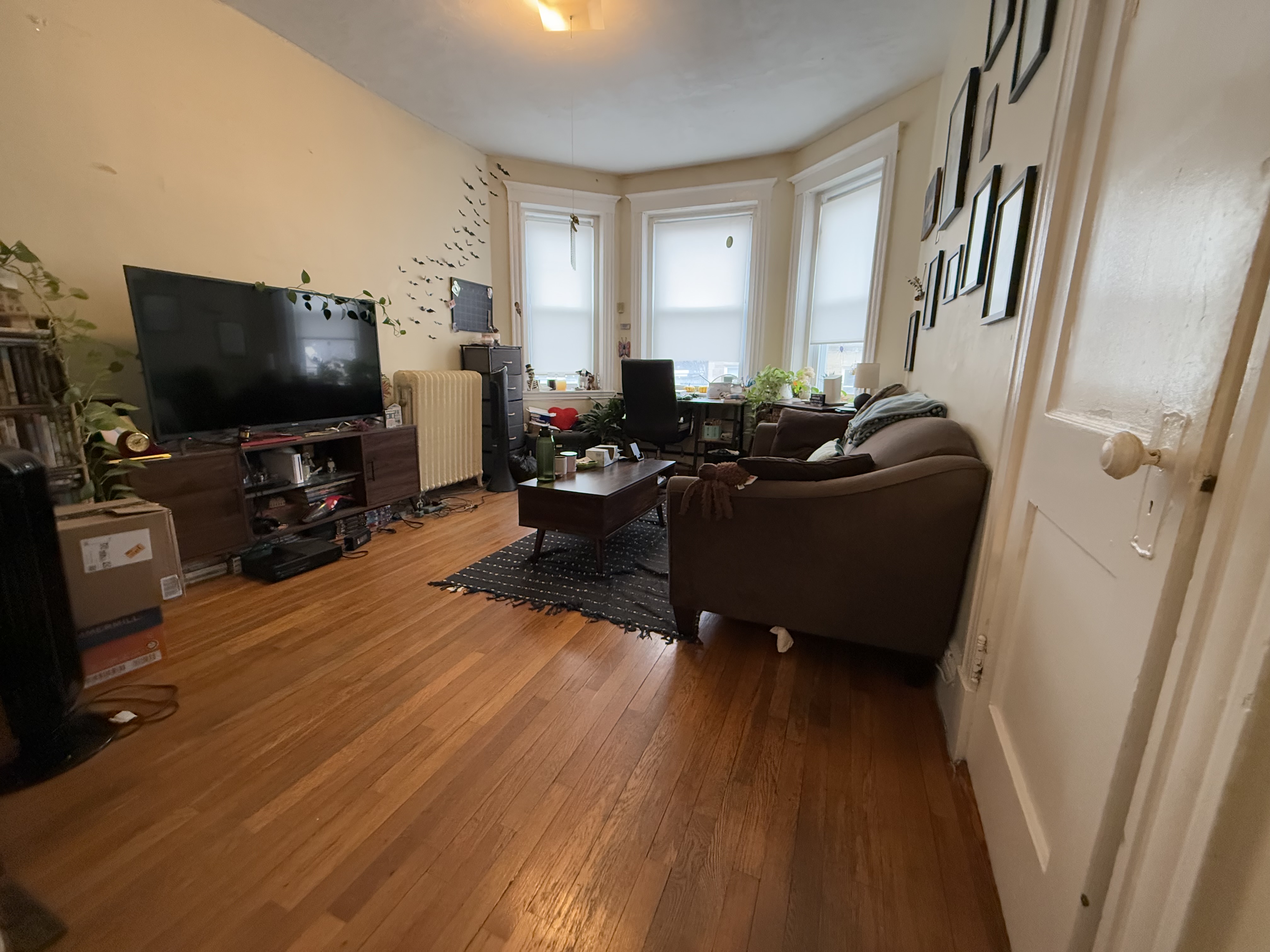 159 Kelton St, Brighton