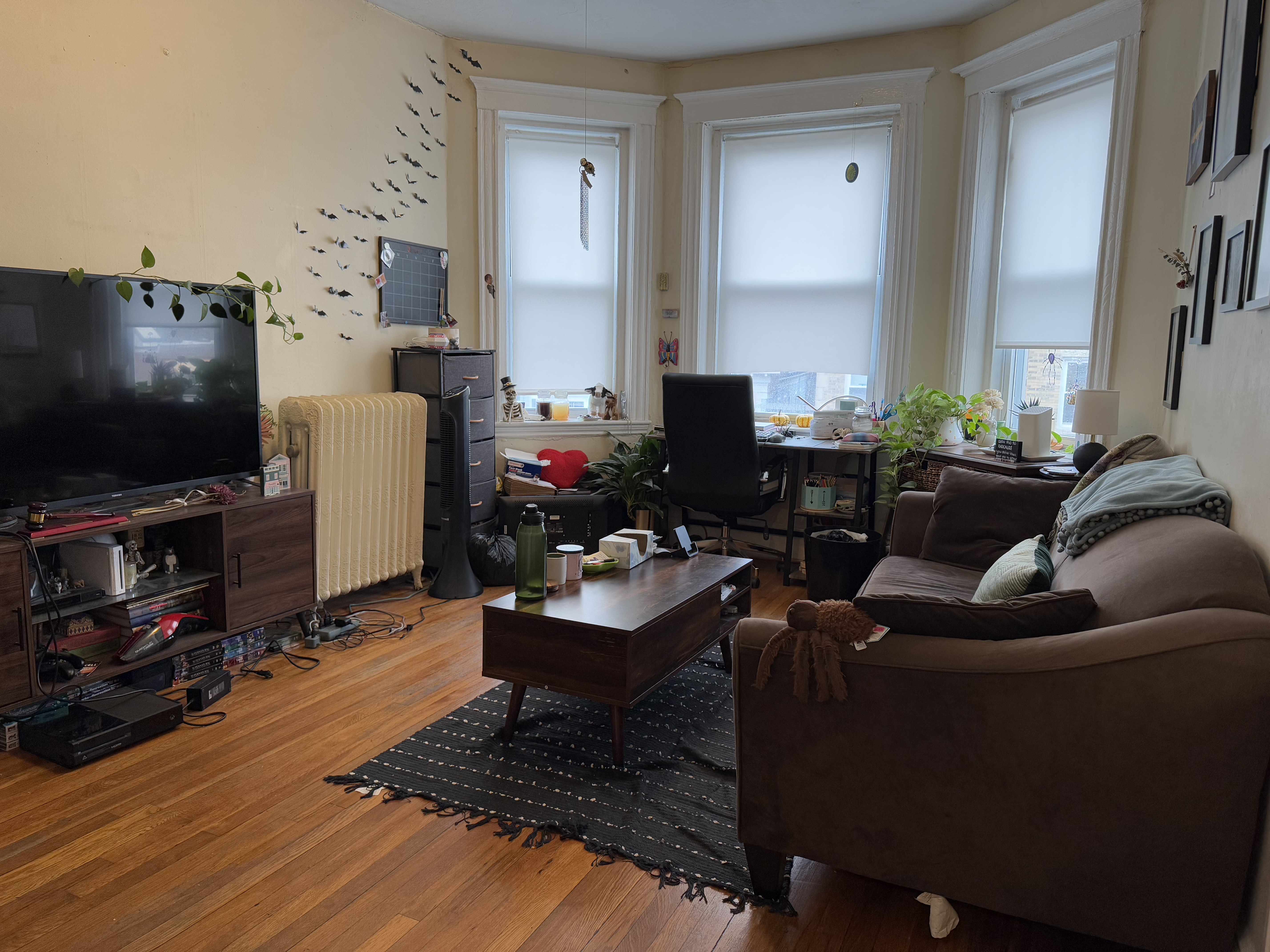 159 Kelton St, Brighton