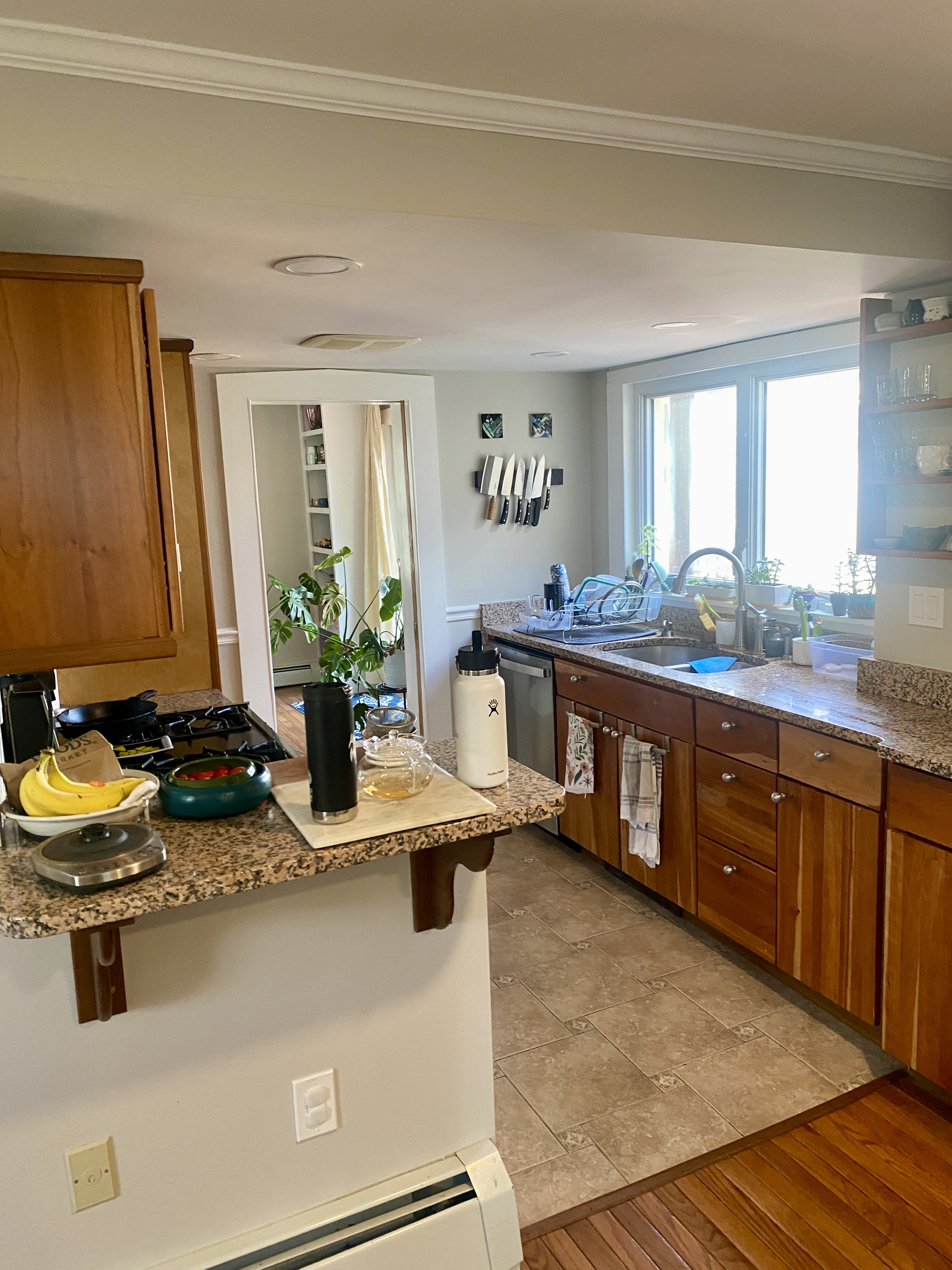 59 Reed St, North Cambridge