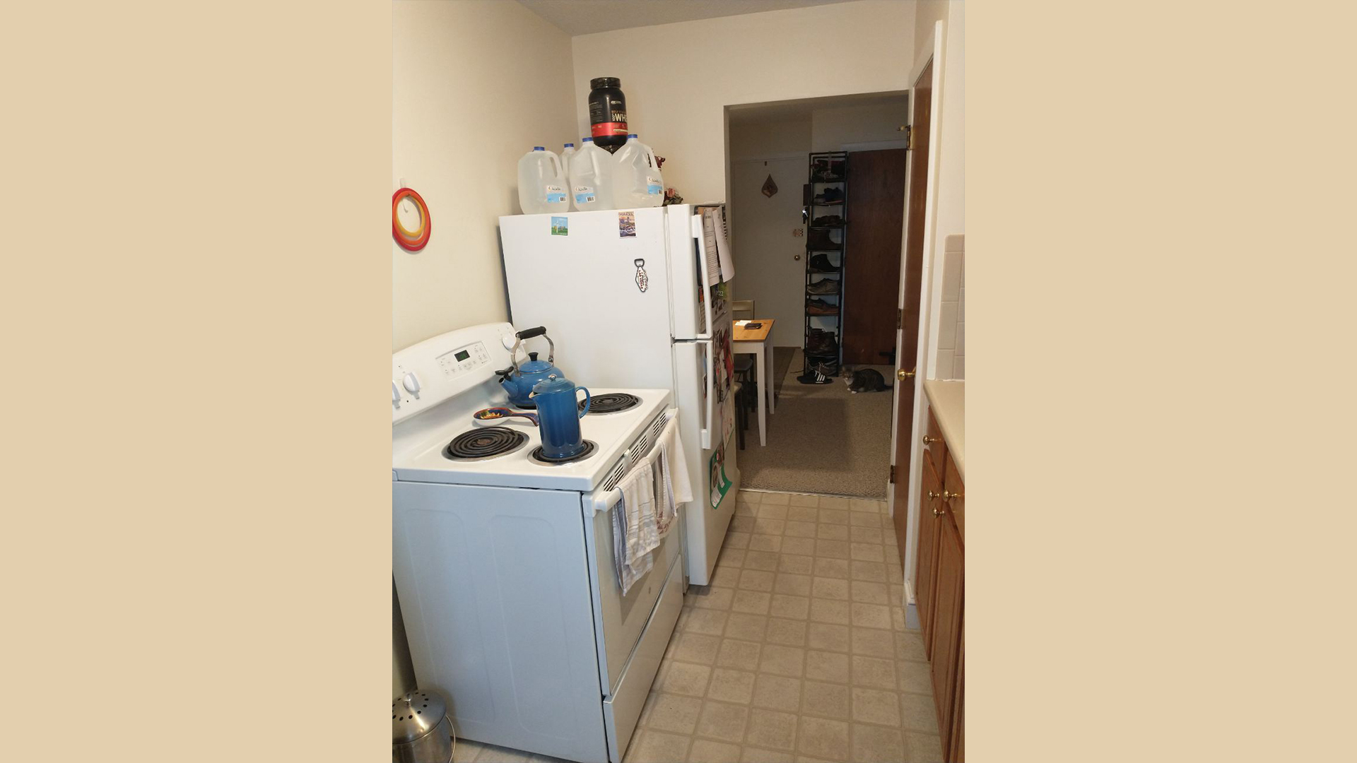1 bed, 1 bath apartment for rent at 11 Brattle Dr Unit 4, Arlington — photo 2 of 6