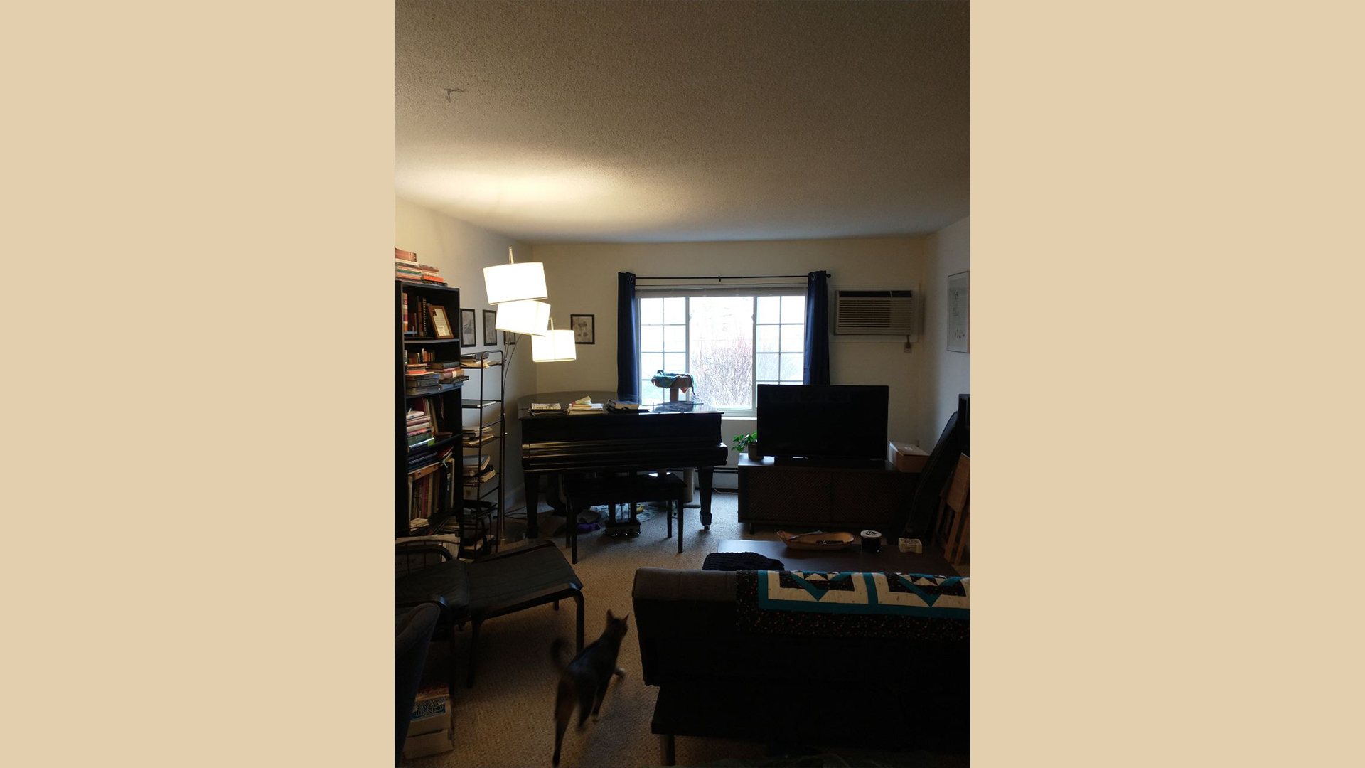 1 bed, 1 bath apartment for rent at 11 Brattle Dr Unit 4, Arlington — photo 4 of 6