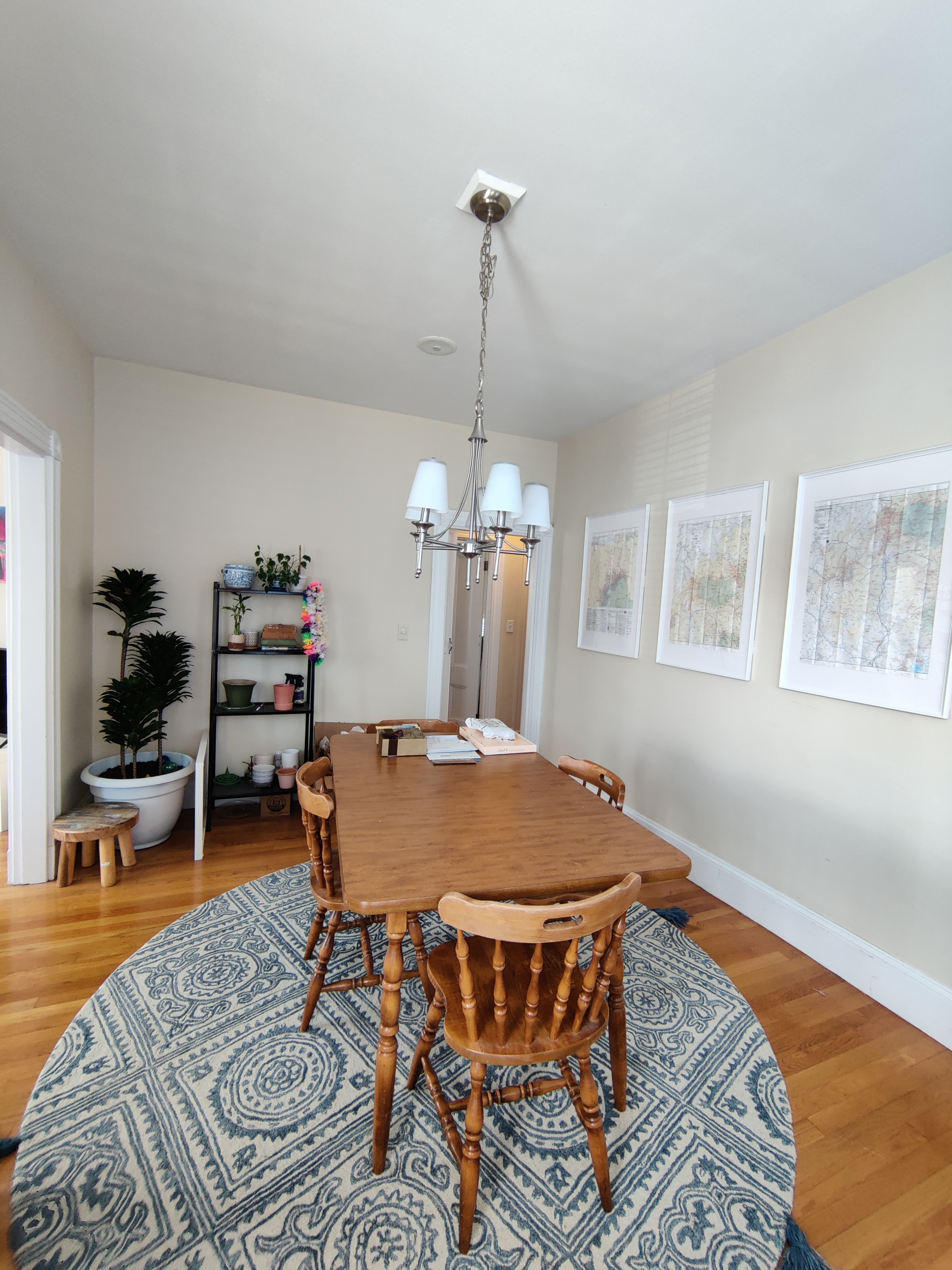 4 bed, 2 bath apartment for rent at 91 Surrey St Unit 2, Brighton — photo 13 of 26