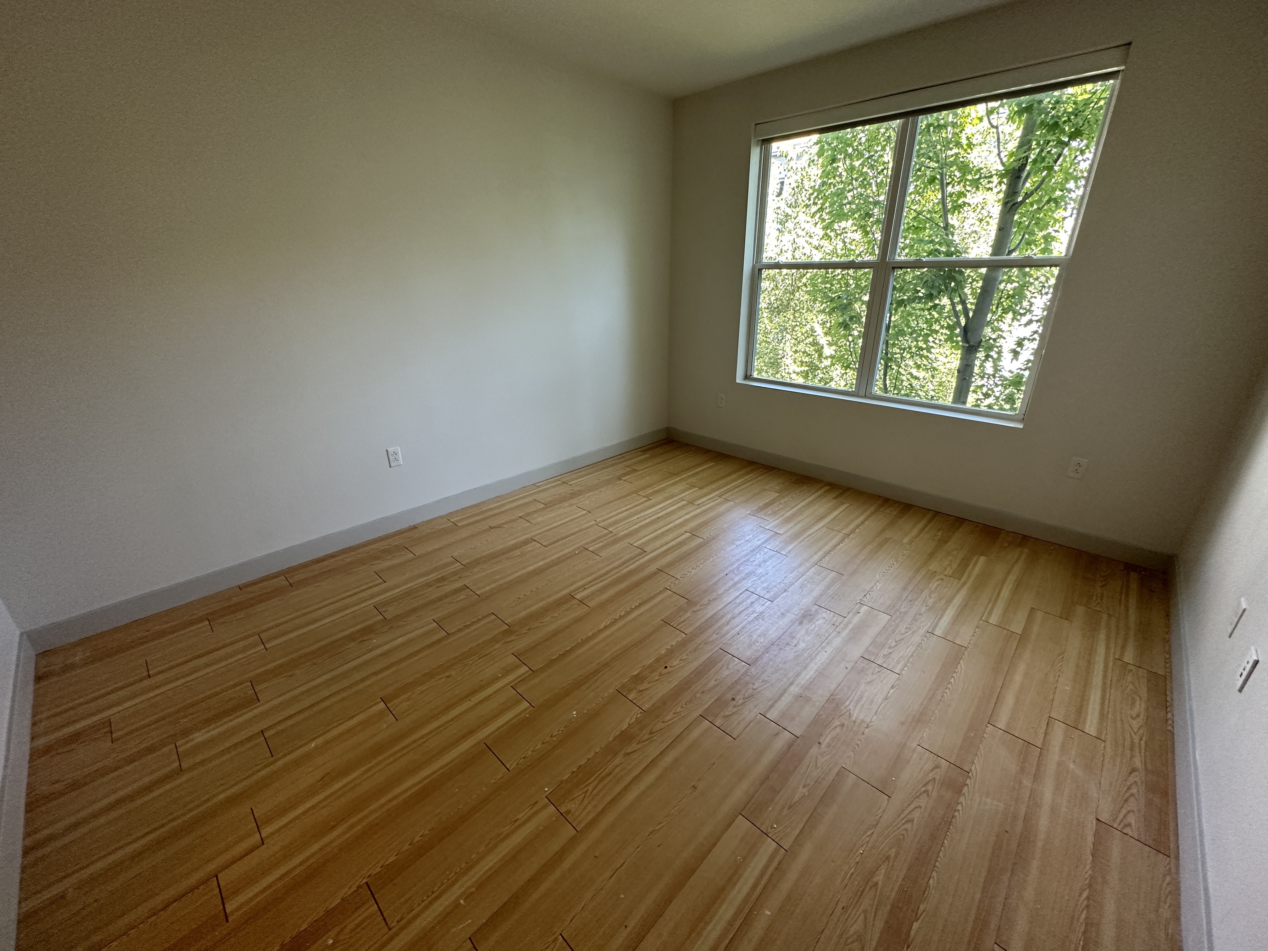2 bed, 2 bath apartment for rent at 320 D St Unit 306, South Boston — photo 19 of 27
