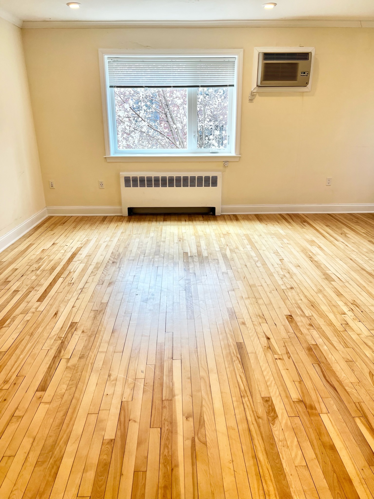 1 bed, 1 bath apartment for rent at 38 St Paul Unit 54-6, Coolidge Corner — photo 4 of 17