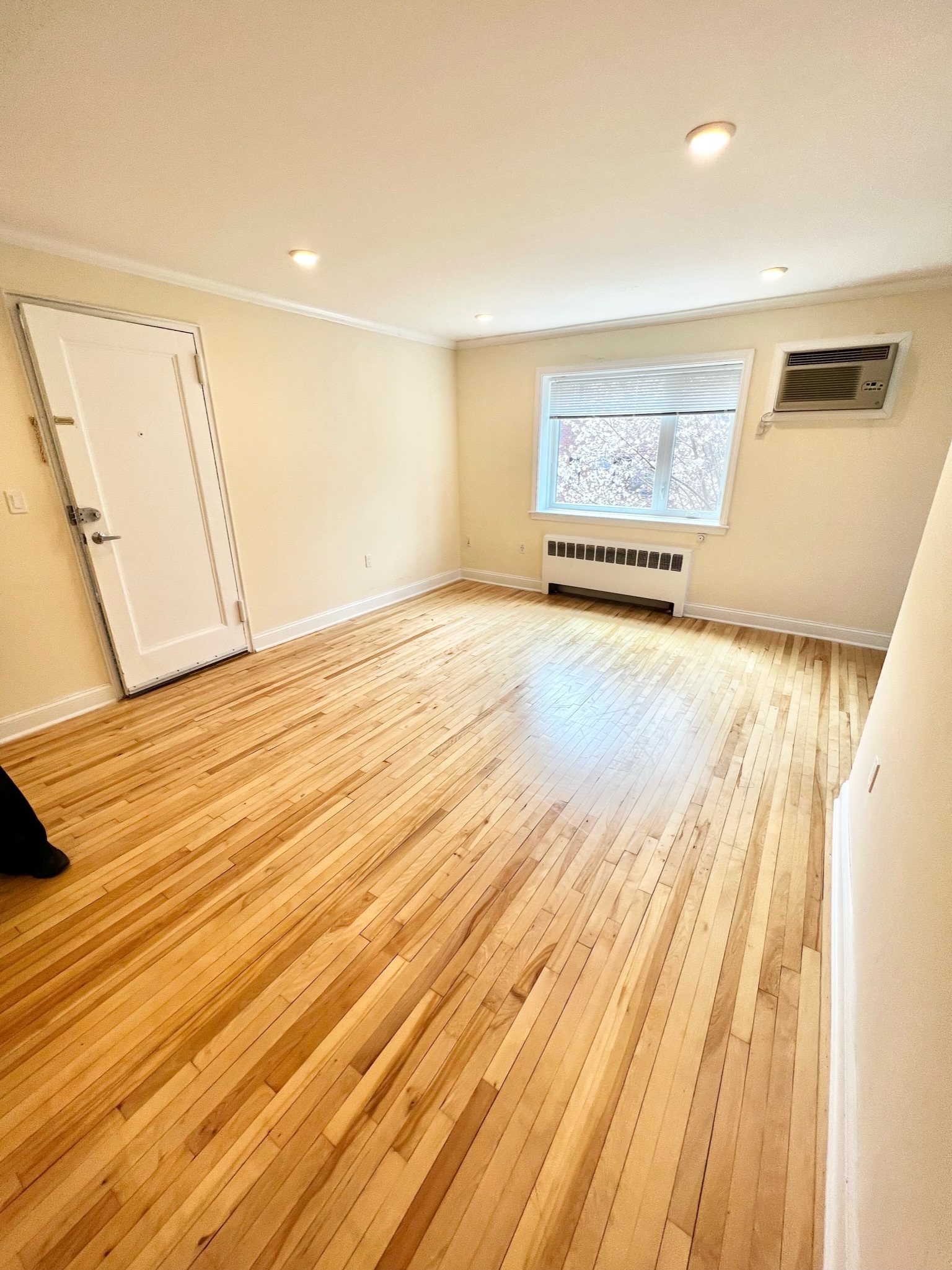 1 bed, 1 bath apartment for rent at 81 Saint Paul St Unit 6, Coolidge Corner — photo 12 of 17