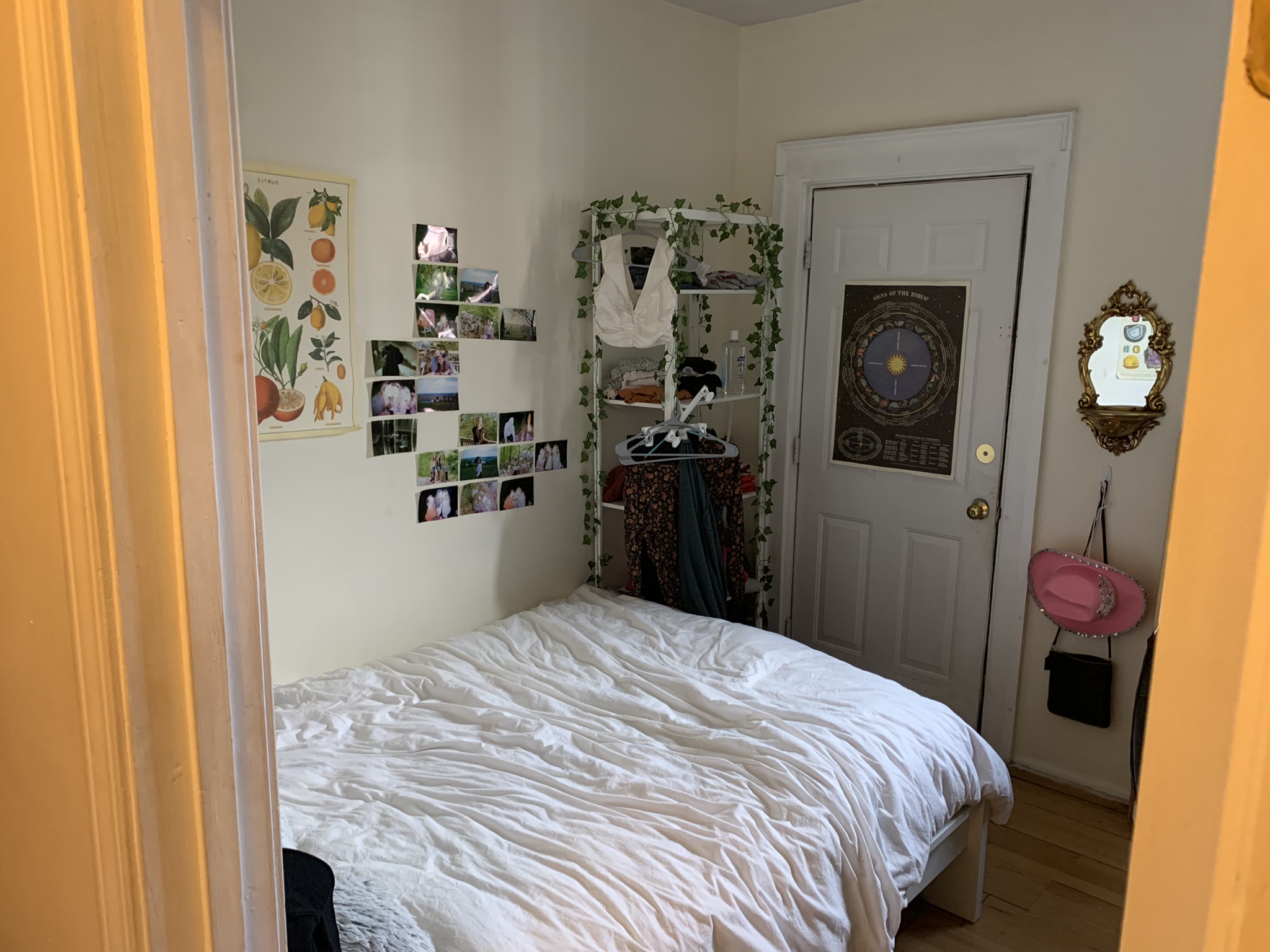 318 Saint Paul St, Brookline