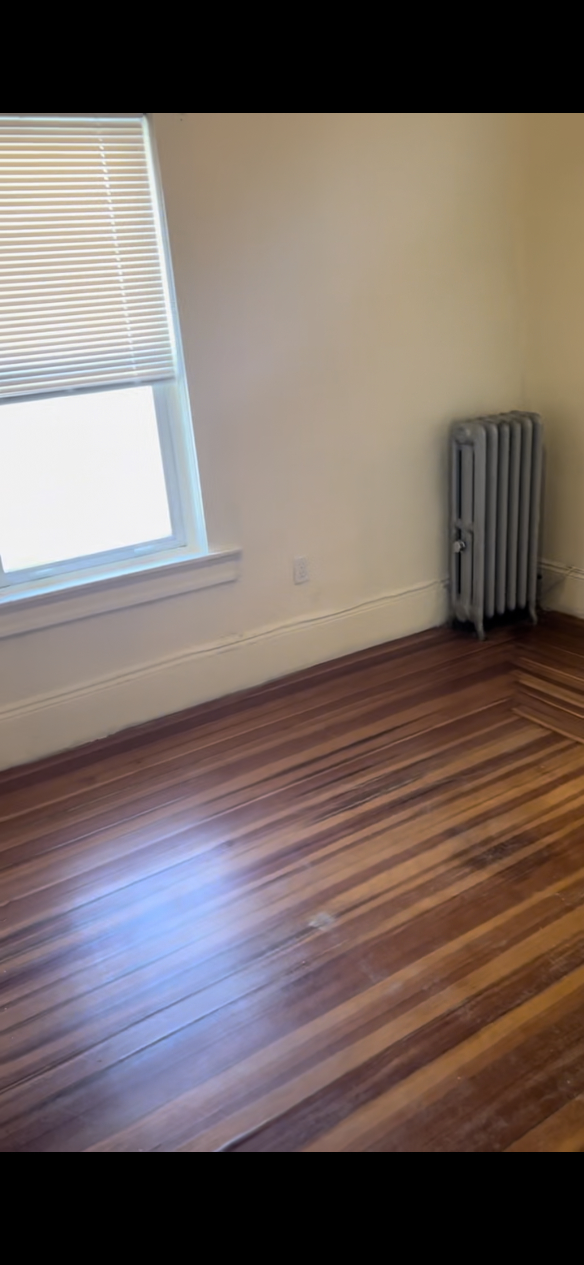 1 bed, 1 bath apartment for rent at 12 Richfield St Unit 2, Dorchester — photo 4 of 9