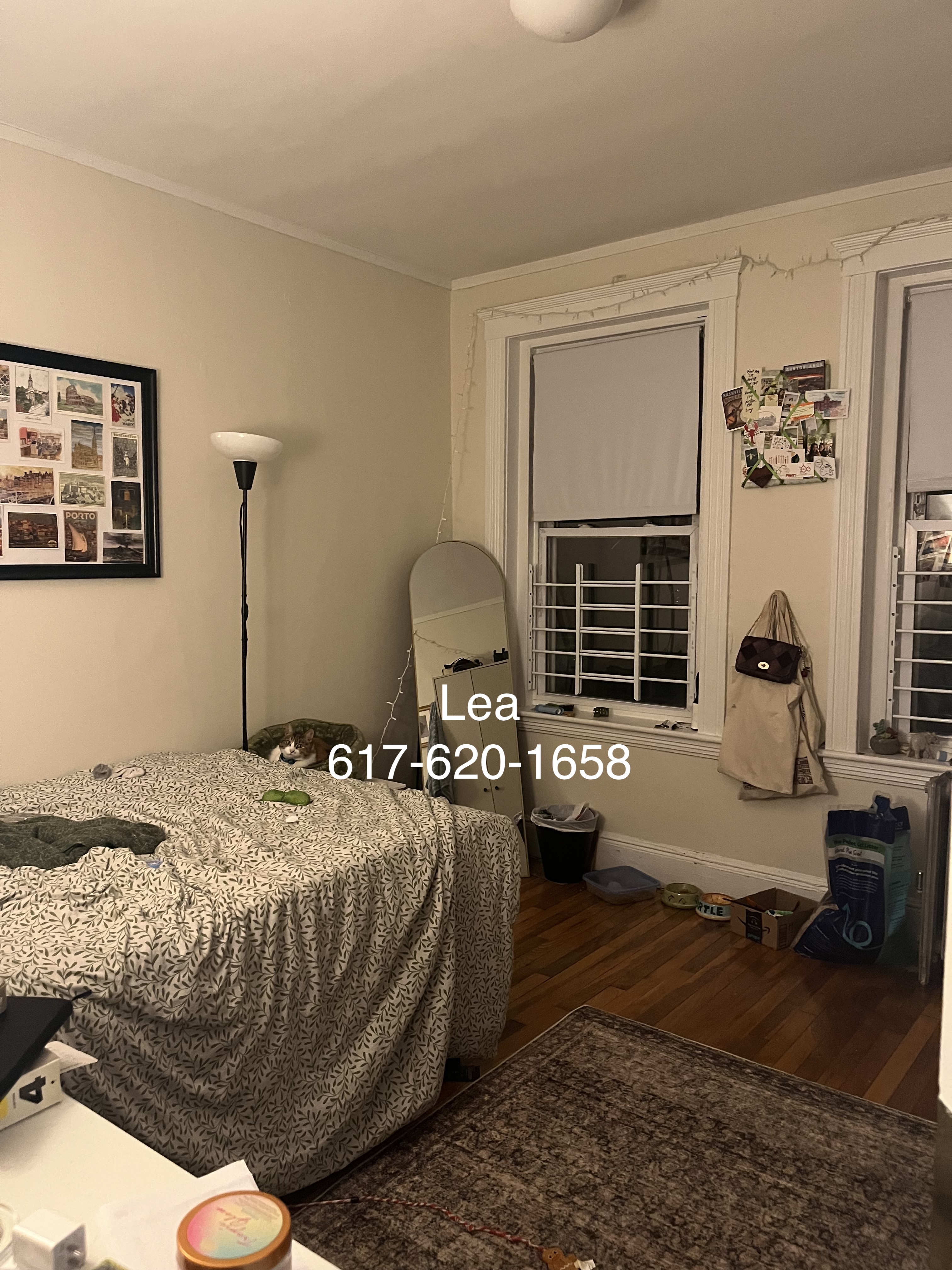 4 Vinal St, Brighton