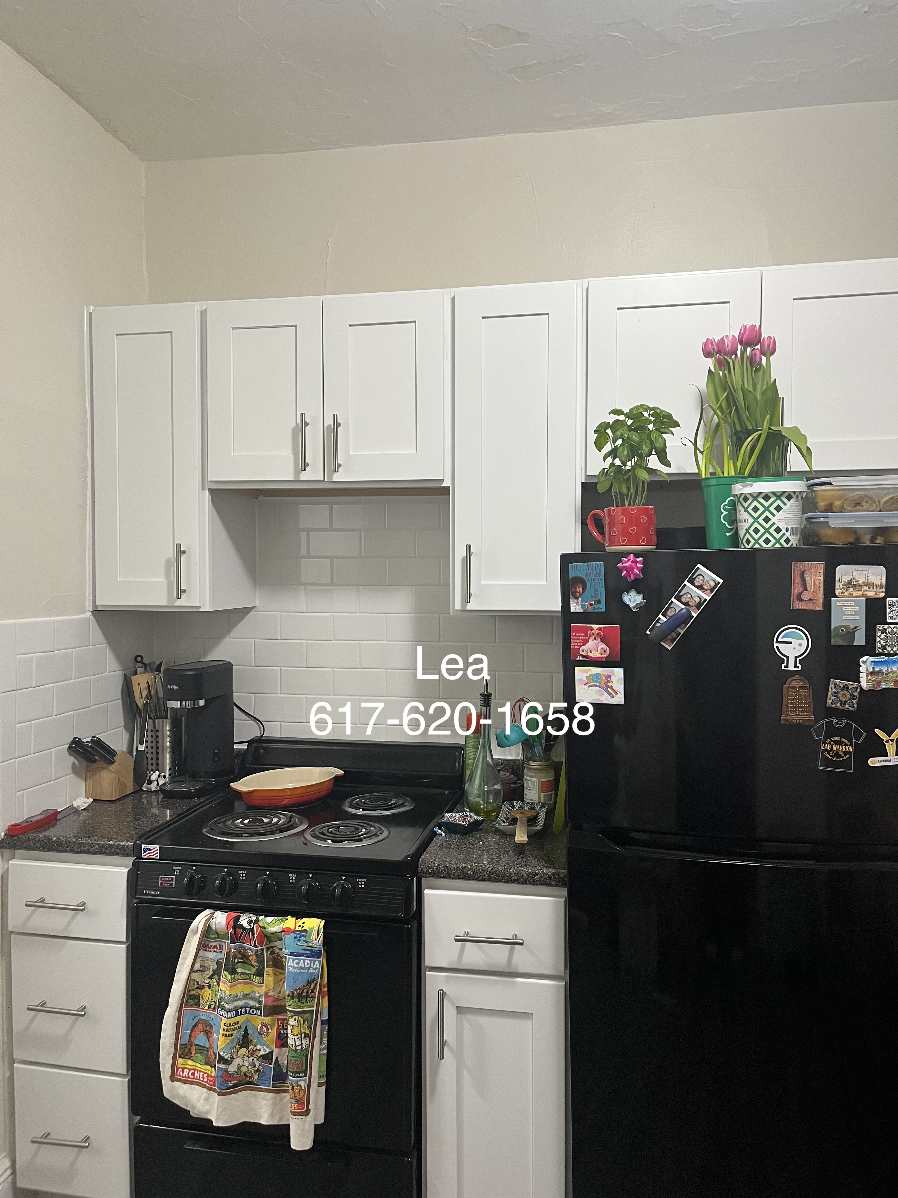 4 Vinal St, Brighton