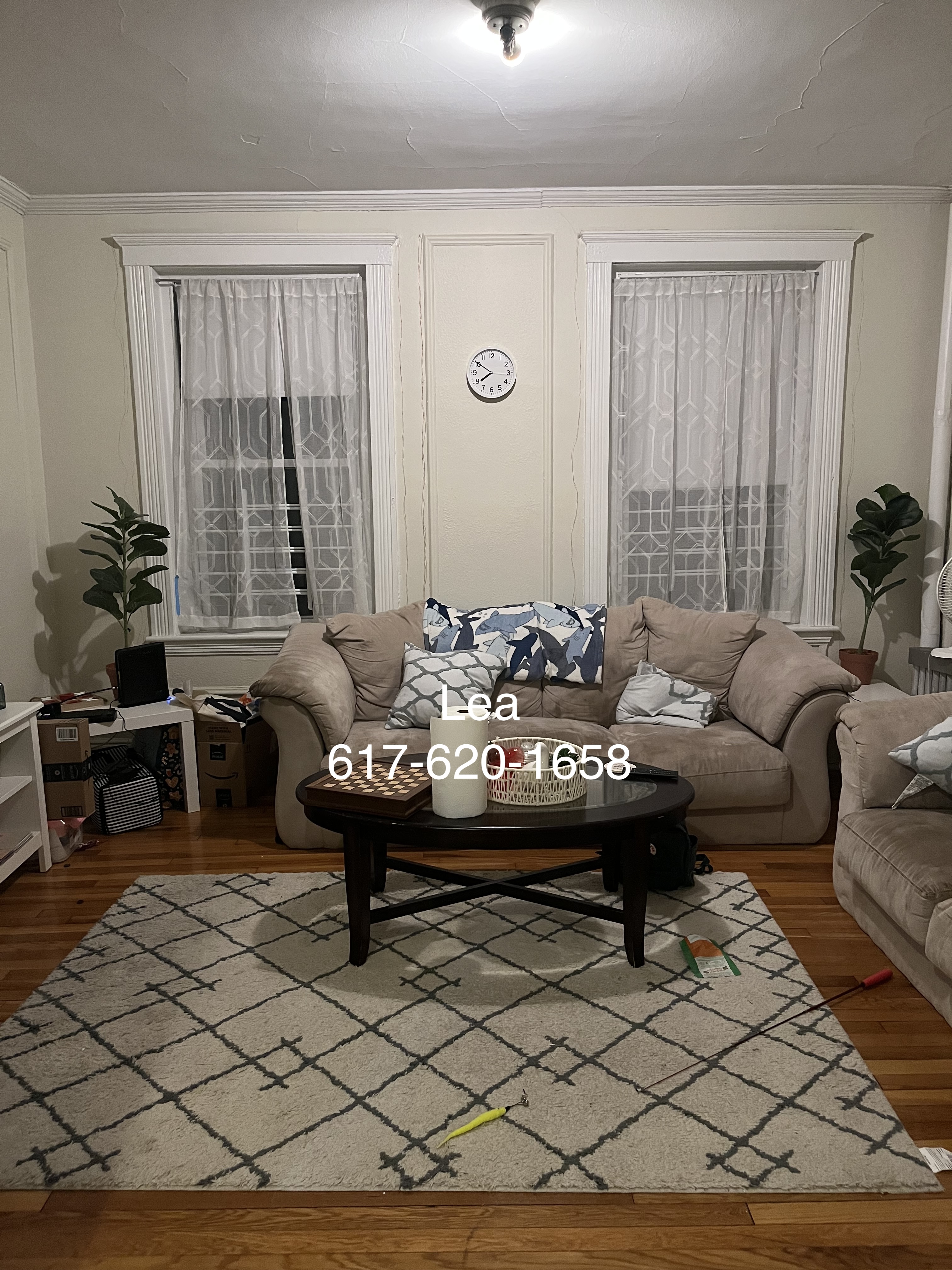 4 Vinal St, Brighton