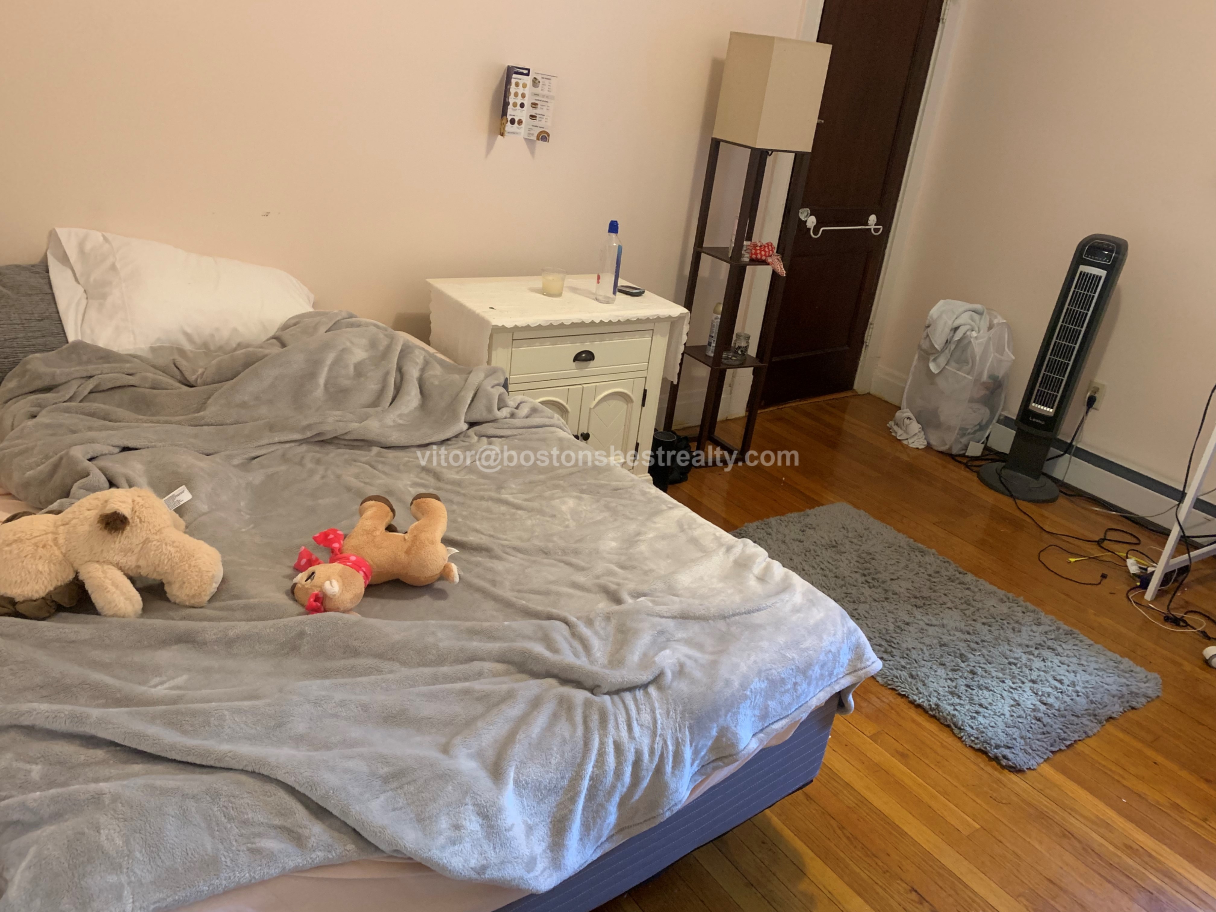 4 bed, 2 bath apartment for rent at 157 Thorndike St Unit 1, Coolidge Corner — photo 32 of 41