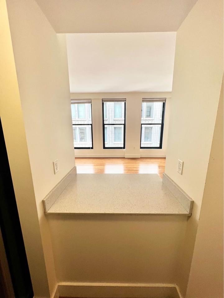 1 bed, 1 bath apartment for rent at 10 Winter Pl Unit 1102, Midtown — photo 4 of 10