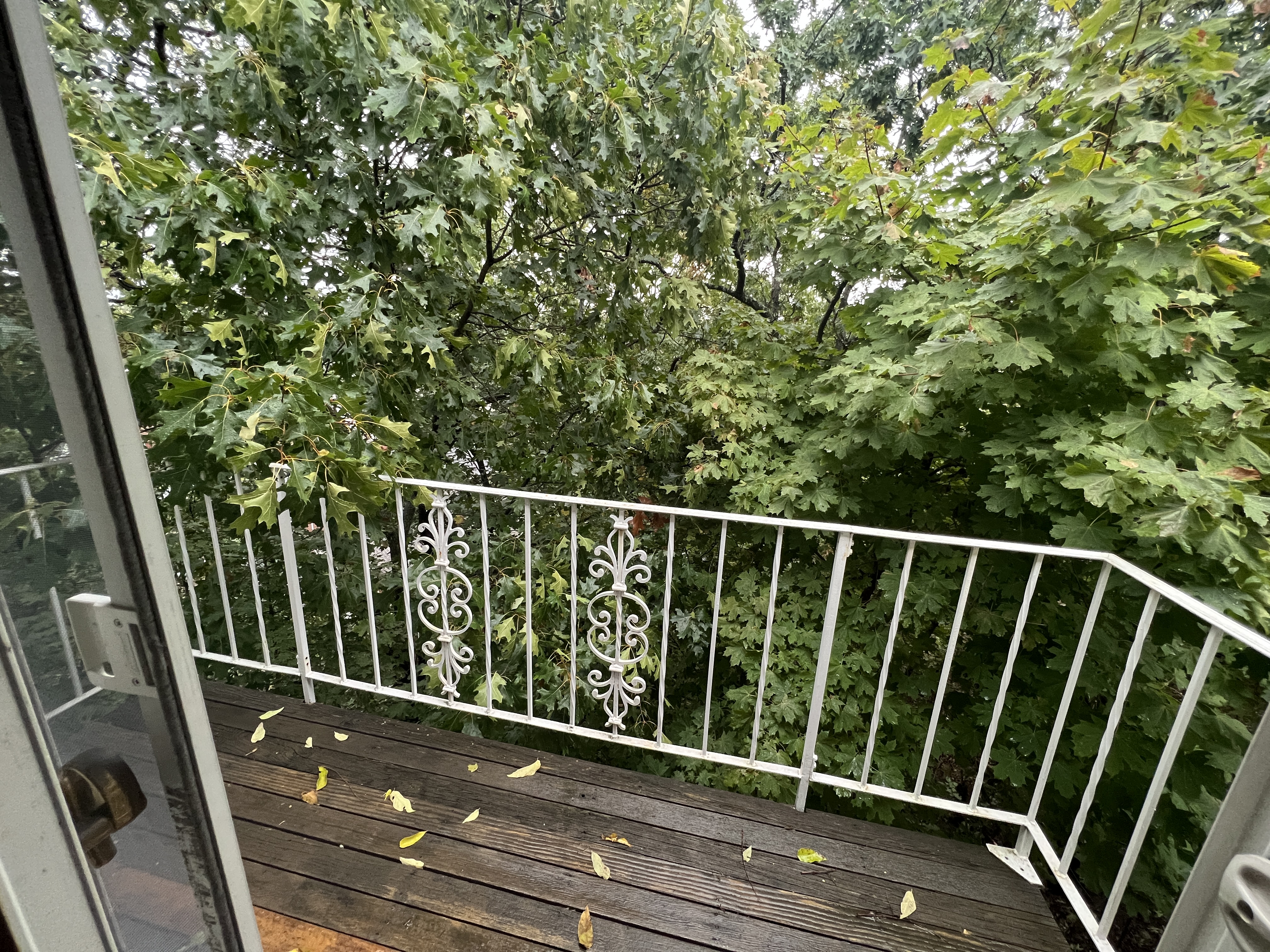 2 bed, 1.5 bath apartment for rent at 89 Nottinghill Rd Unit 1, Brighton — photo 9 of 24