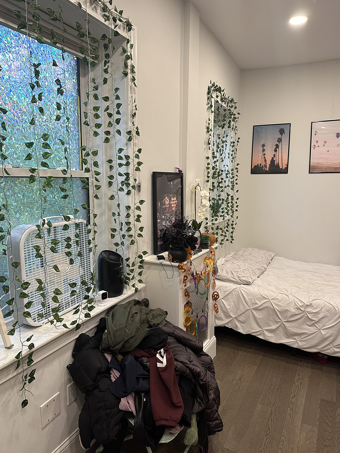 Studio bed, 1 bath apartment for rent at 164 Queensberry Unit 1243, Fenway — photo 3 of 6