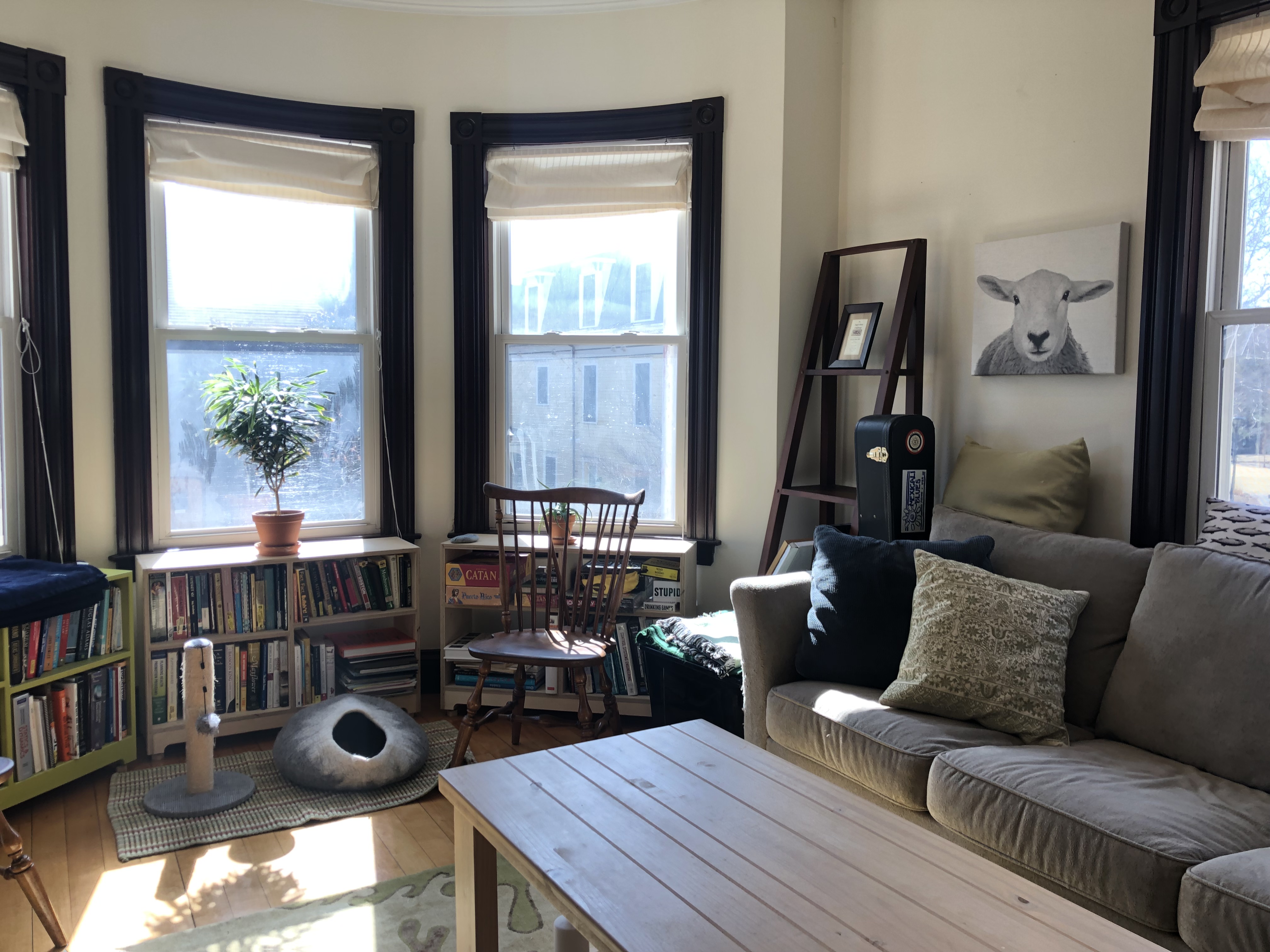 1 bed, 1 bath apartment for rent at 57 Magazine St Unit 21, Cambridgeport — photo 8 of 12