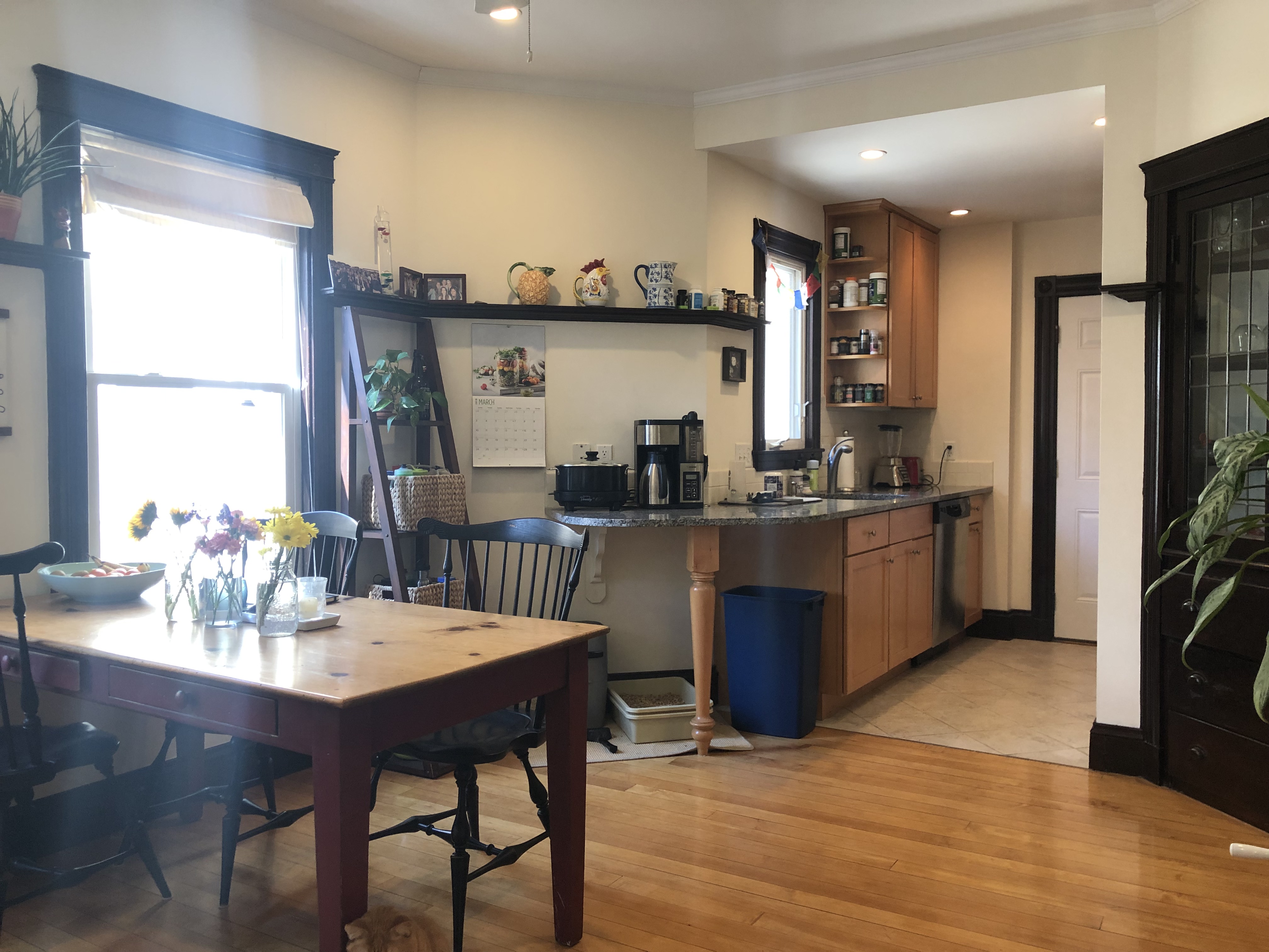 1 bed, 1 bath apartment for rent at 57 Magazine St Unit 21, Cambridgeport — photo 12 of 12