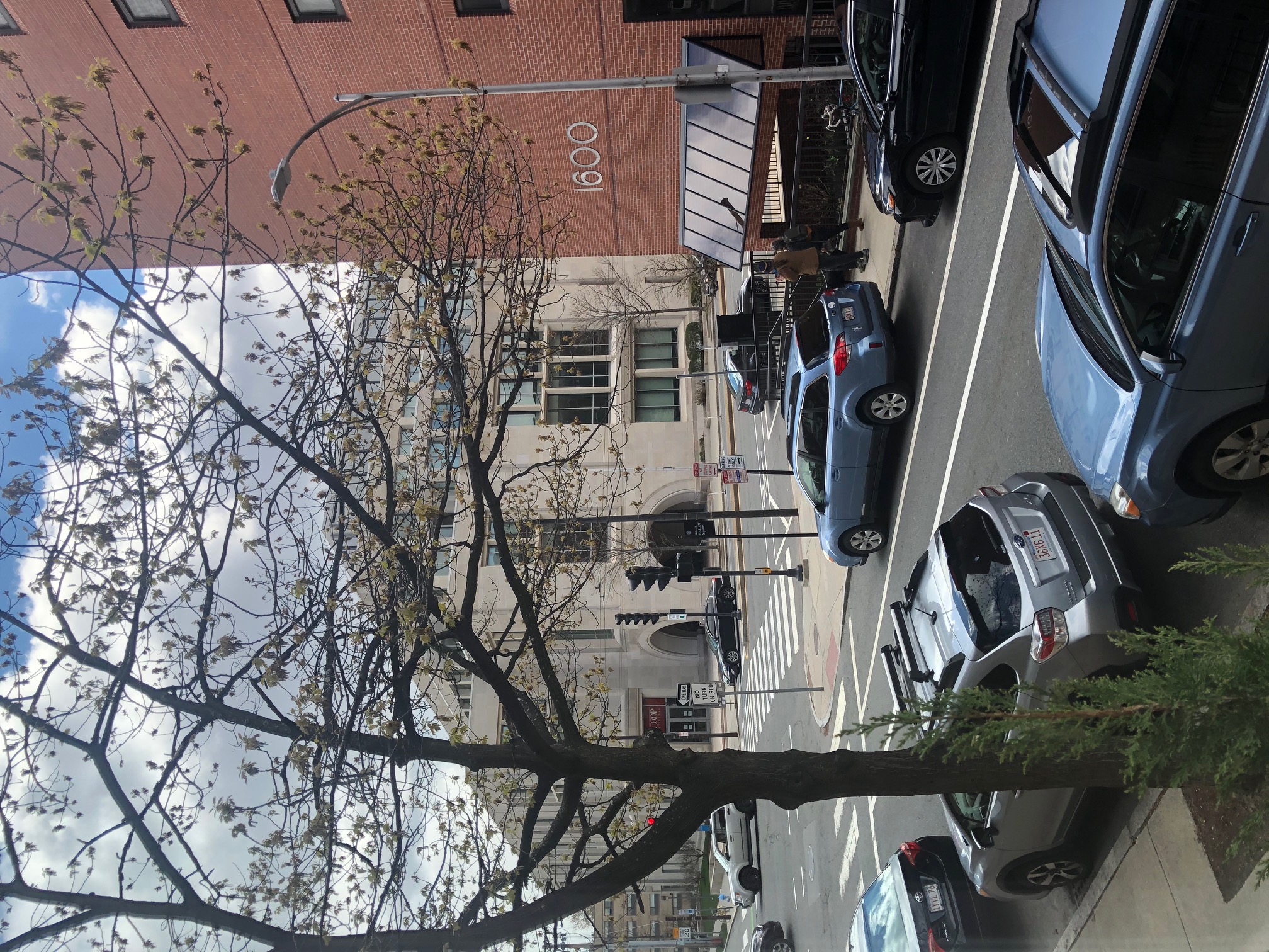 2 bed, 1 bath apartment for rent at 19 Rutland St Unit 1, Harvard Square — photo 7 of 7